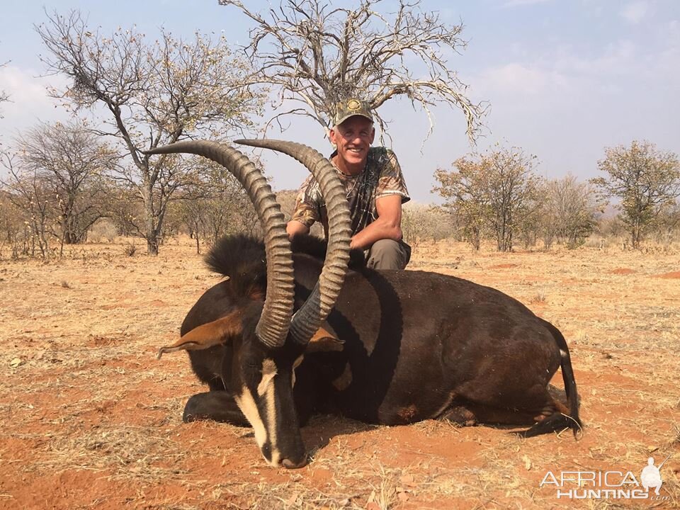 Namibia Sable Hunt