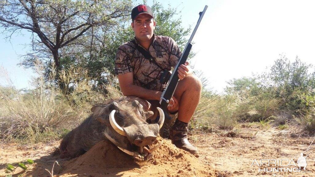 Namibia Warthog Hunt