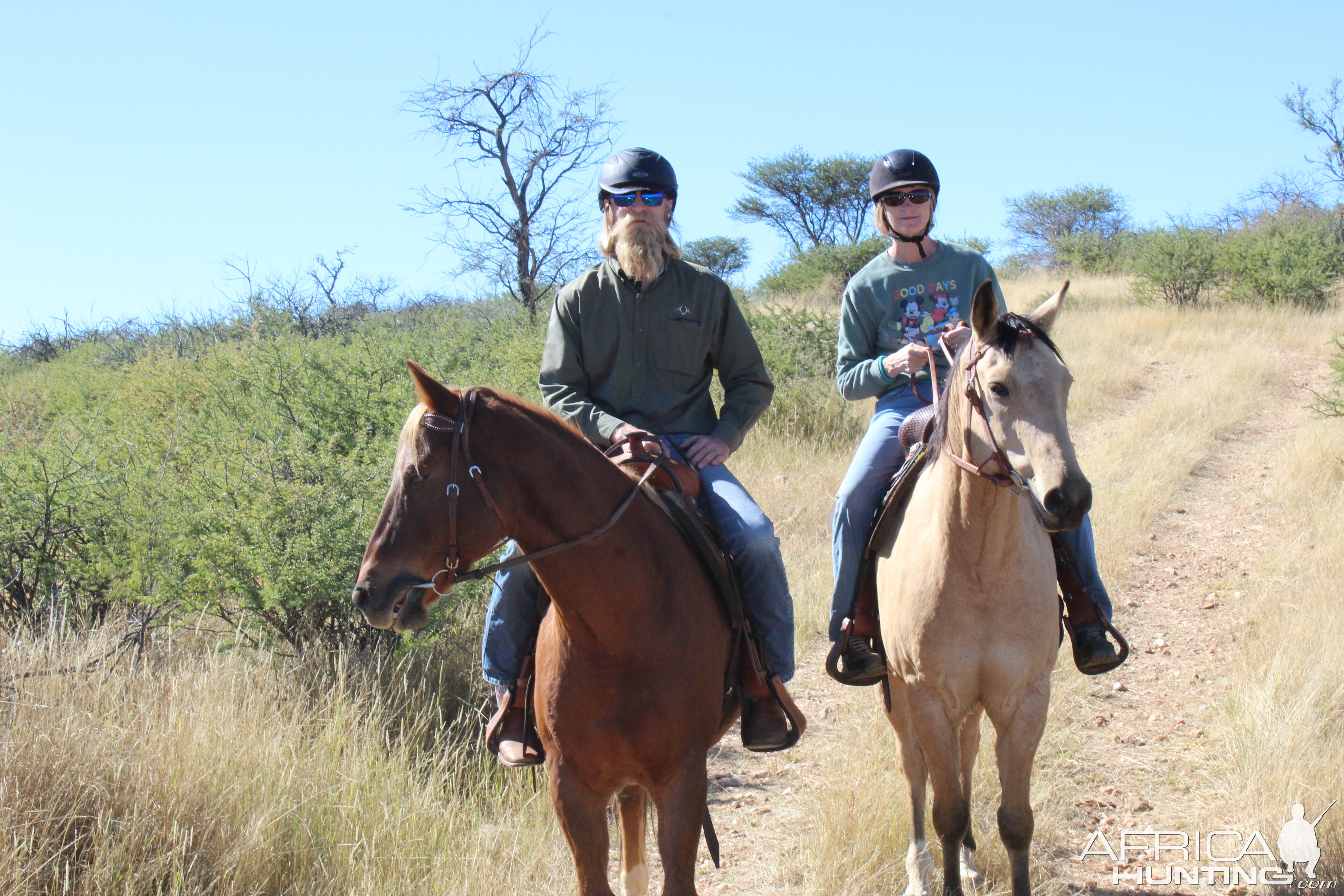 Namibia Wildlife