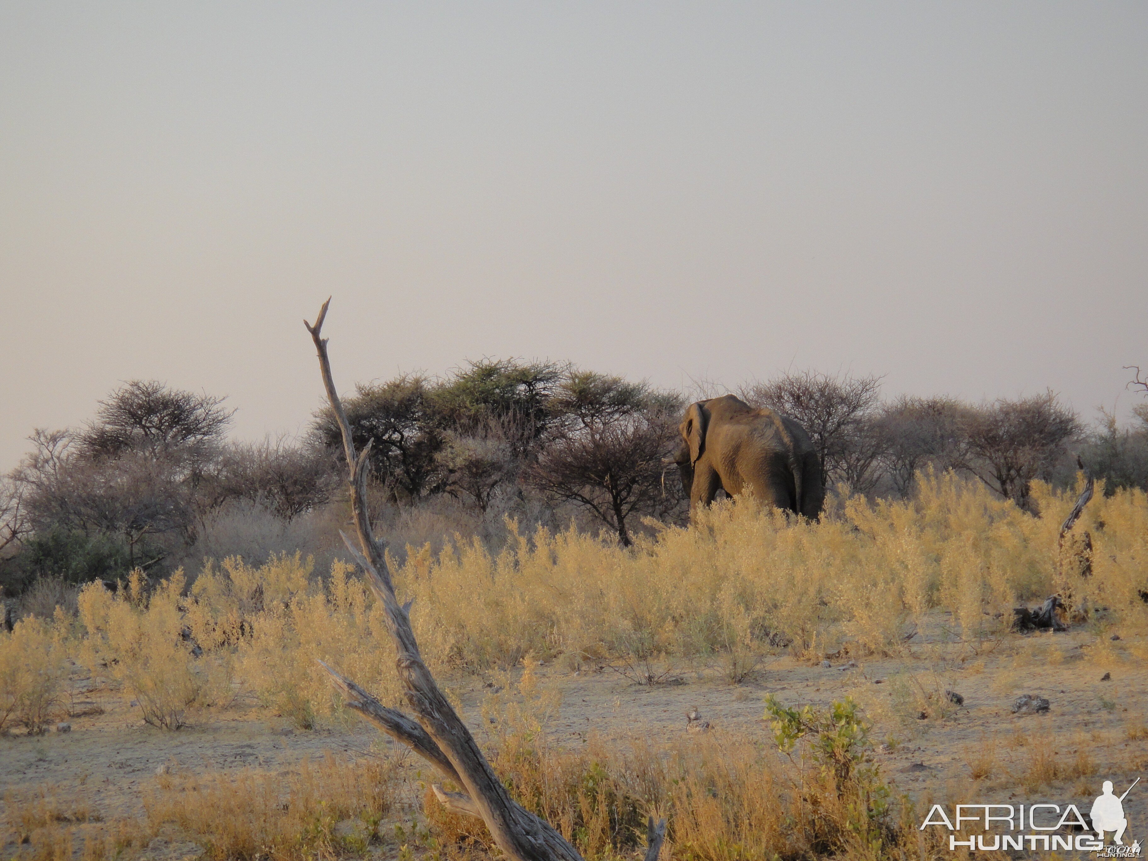 Namibia