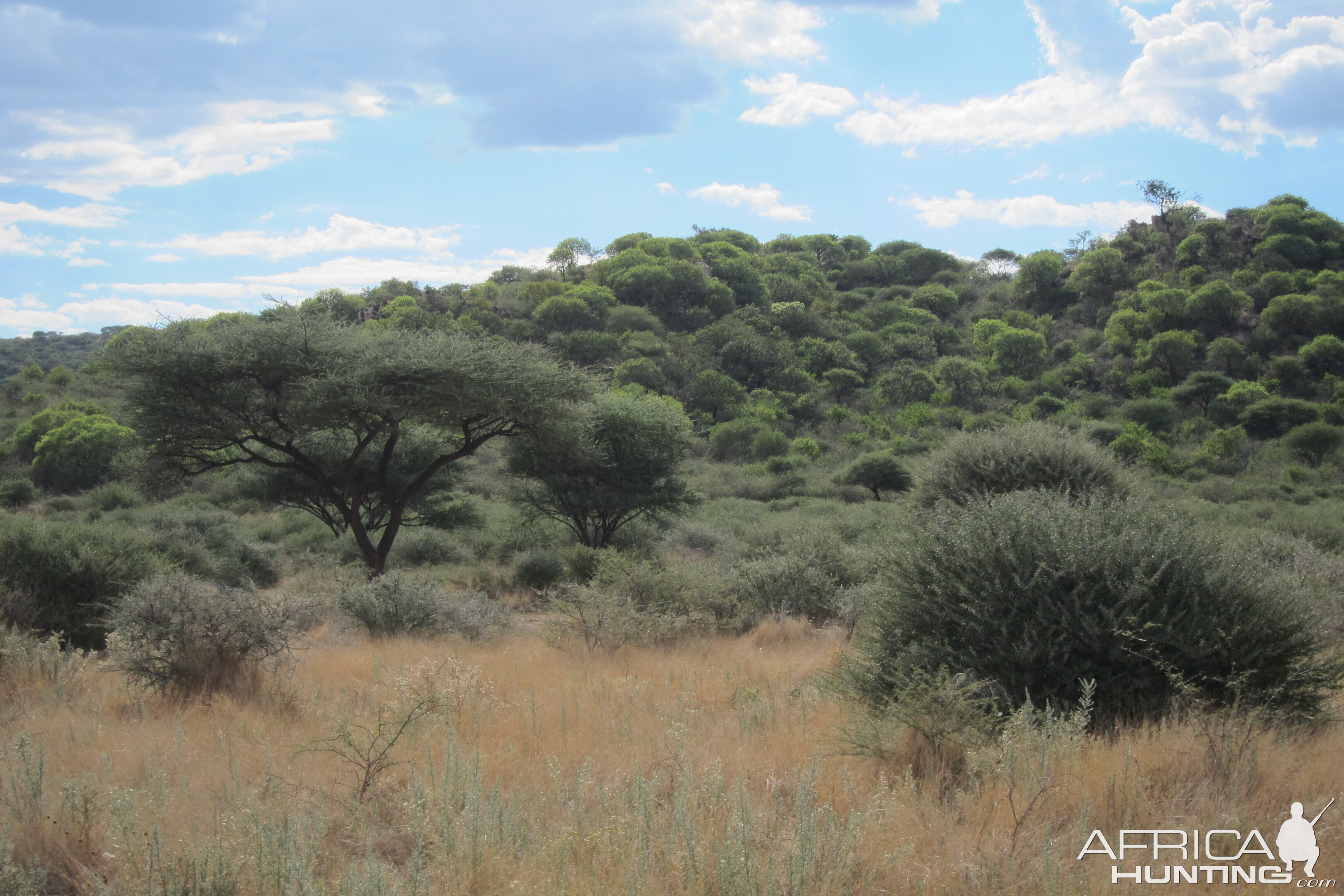 Namibia