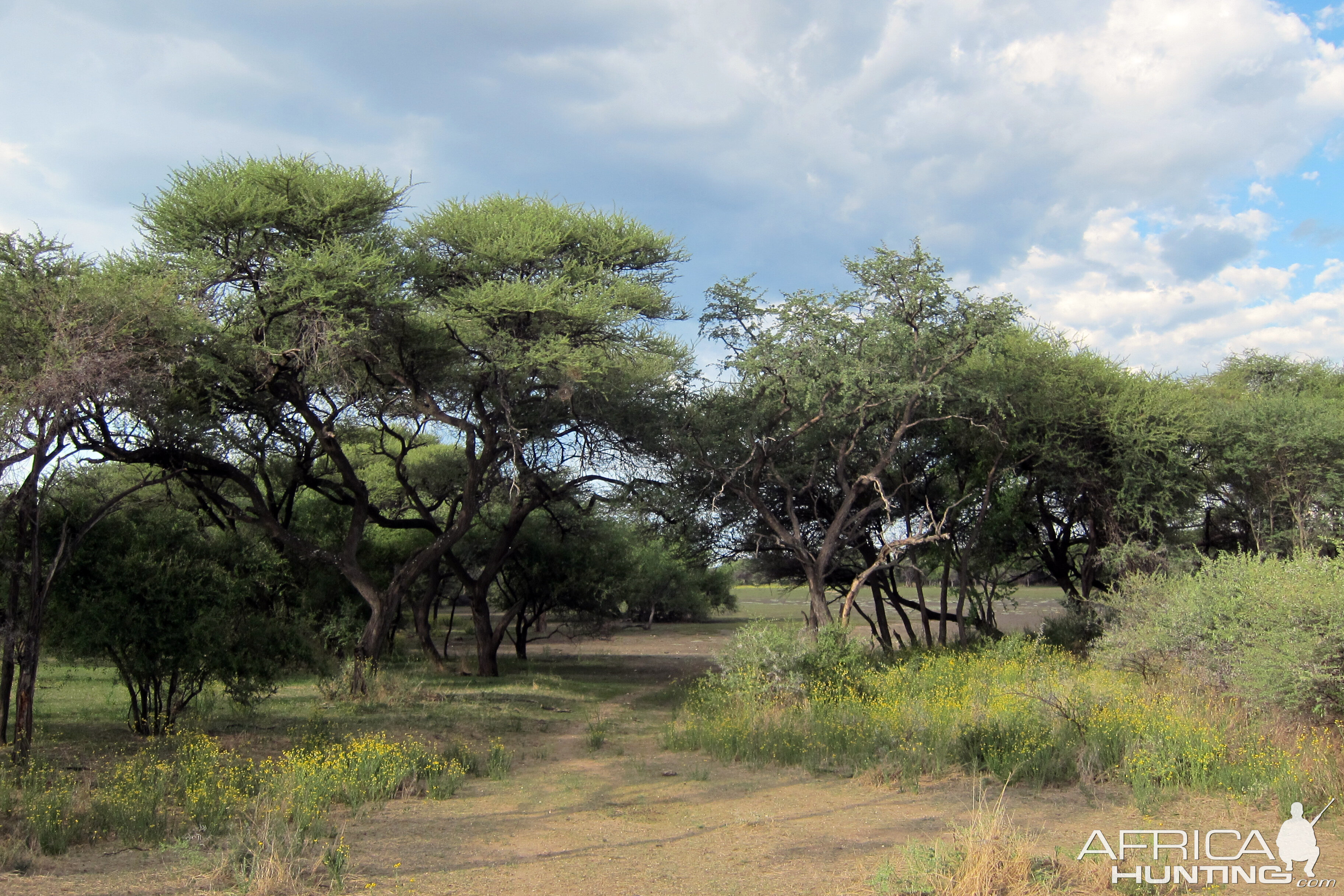 Namibia