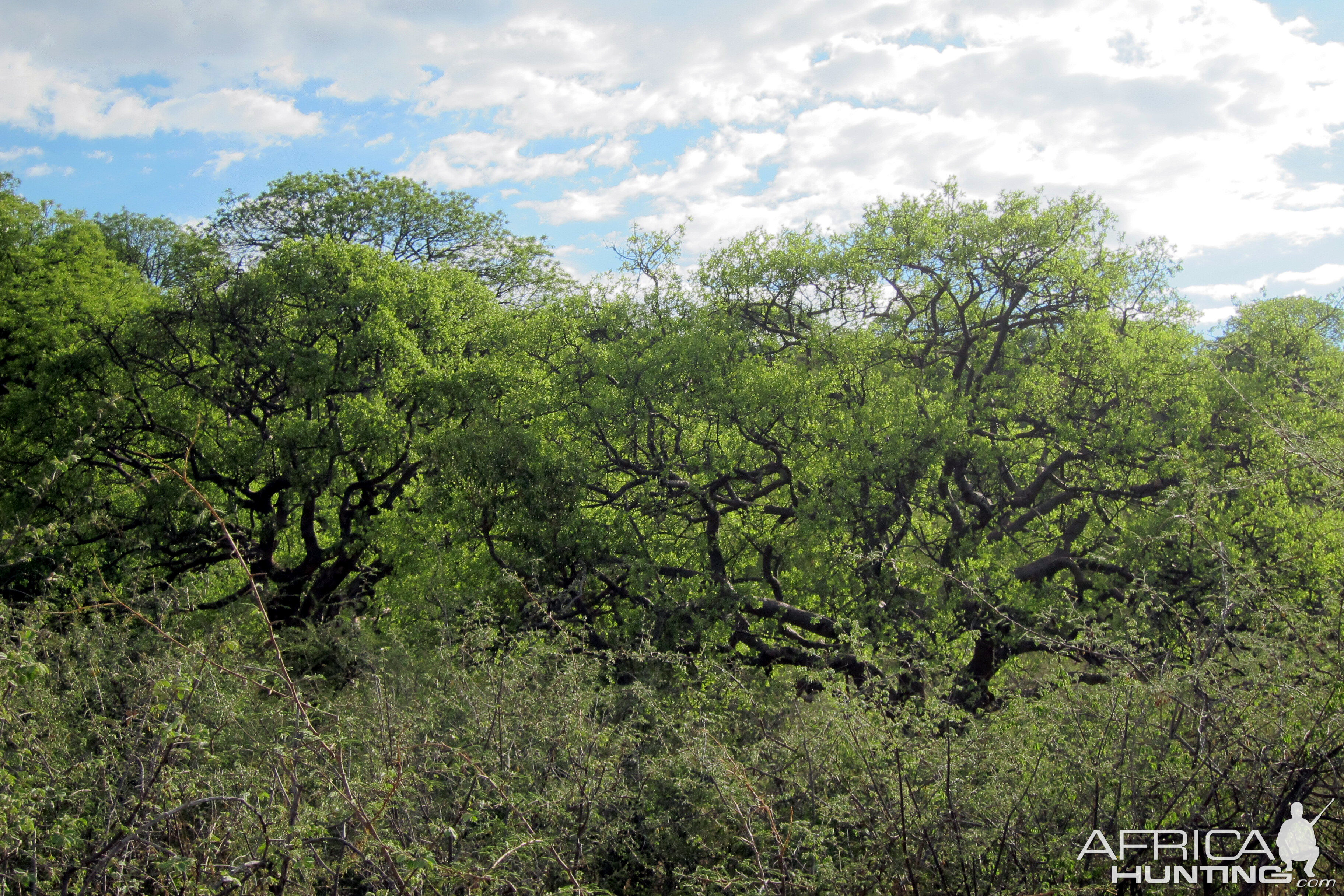 Namibia