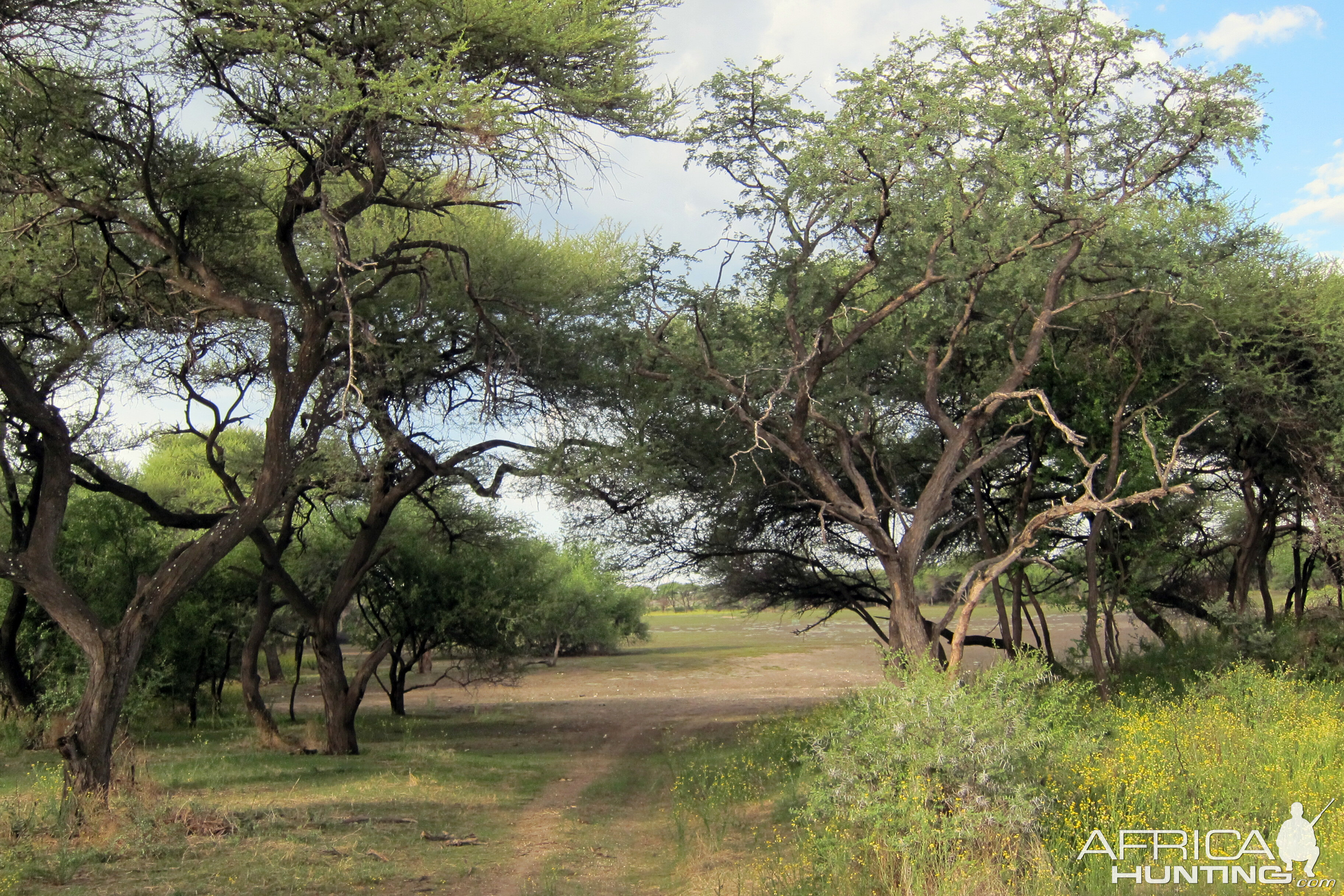 Namibia