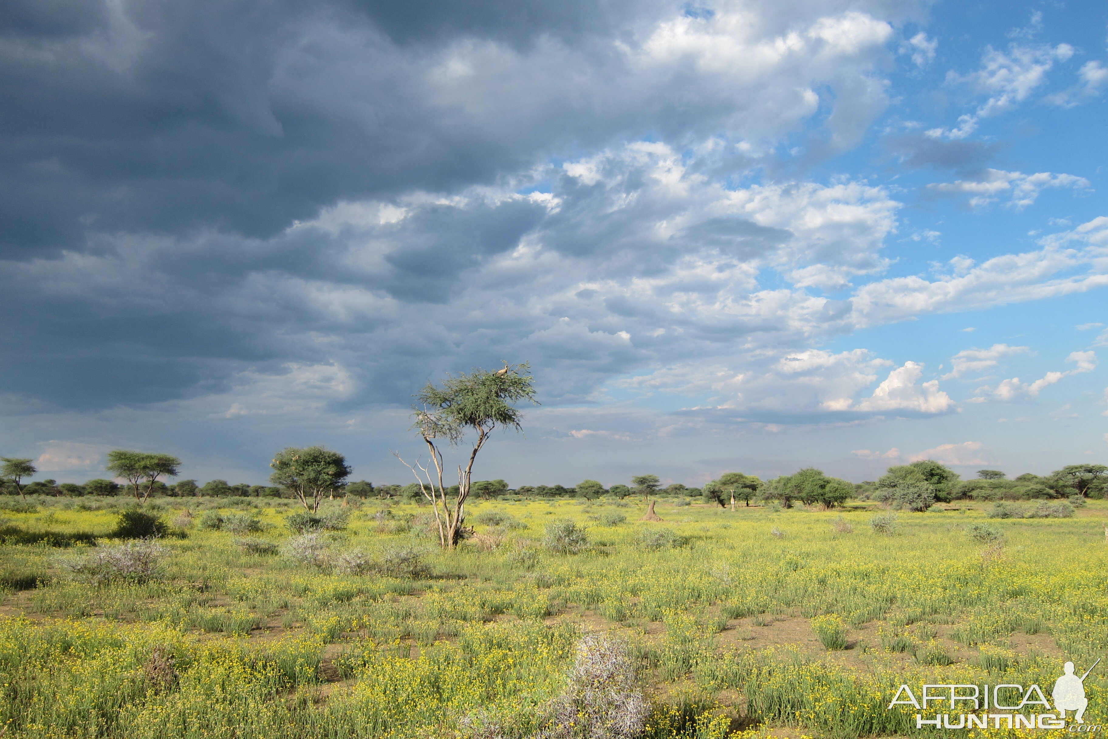 Namibia