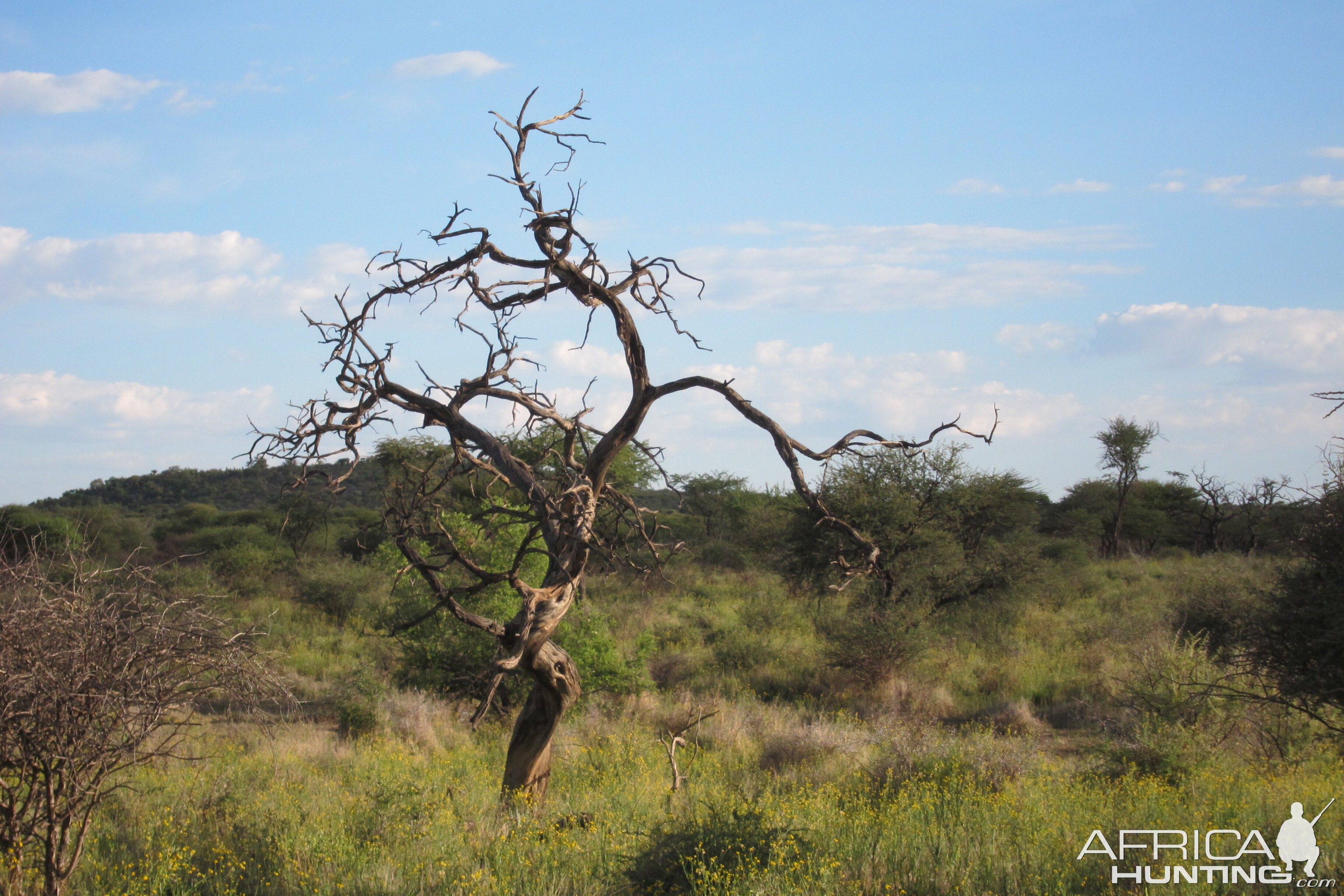 Namibia