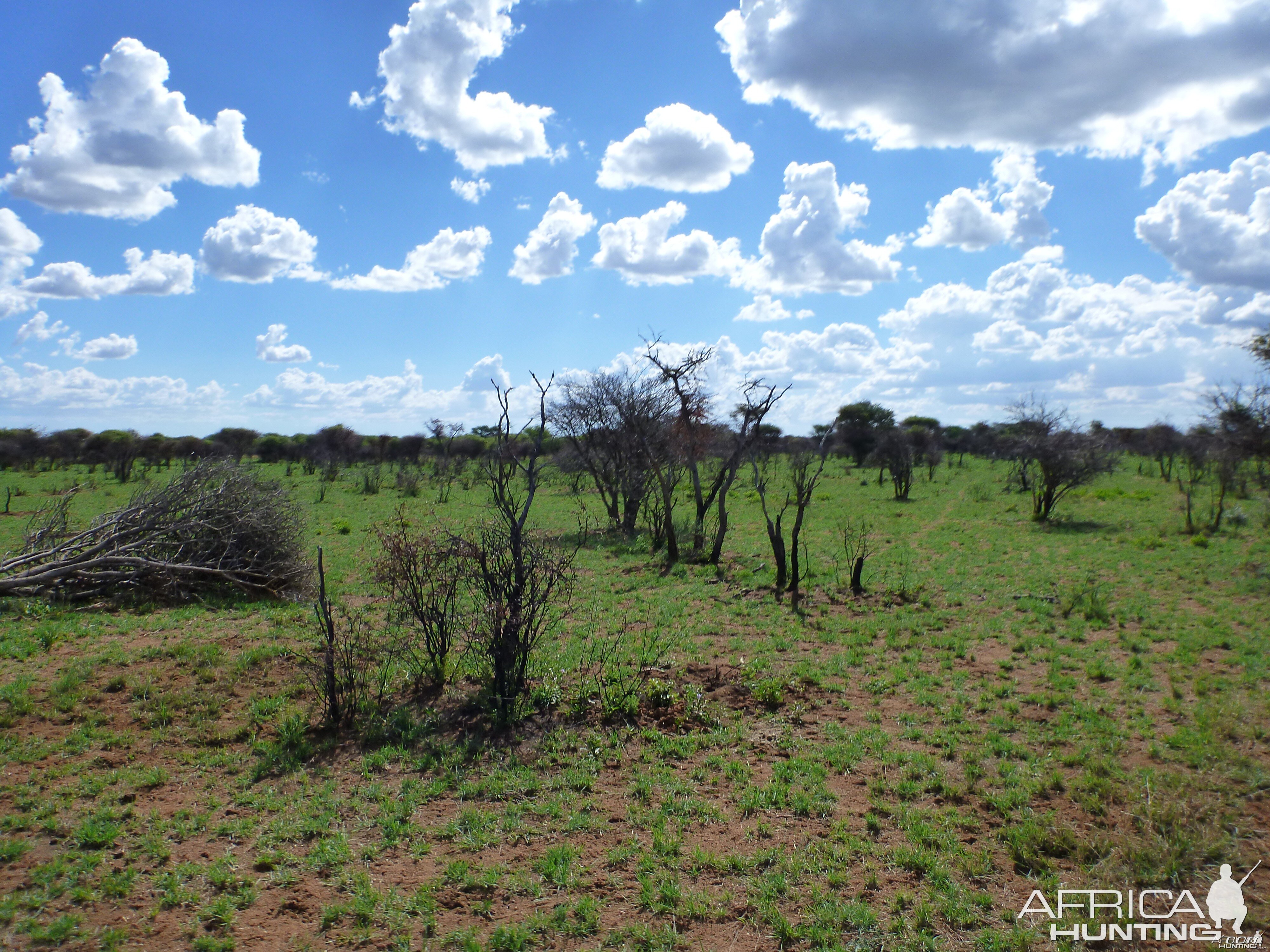 Namibia