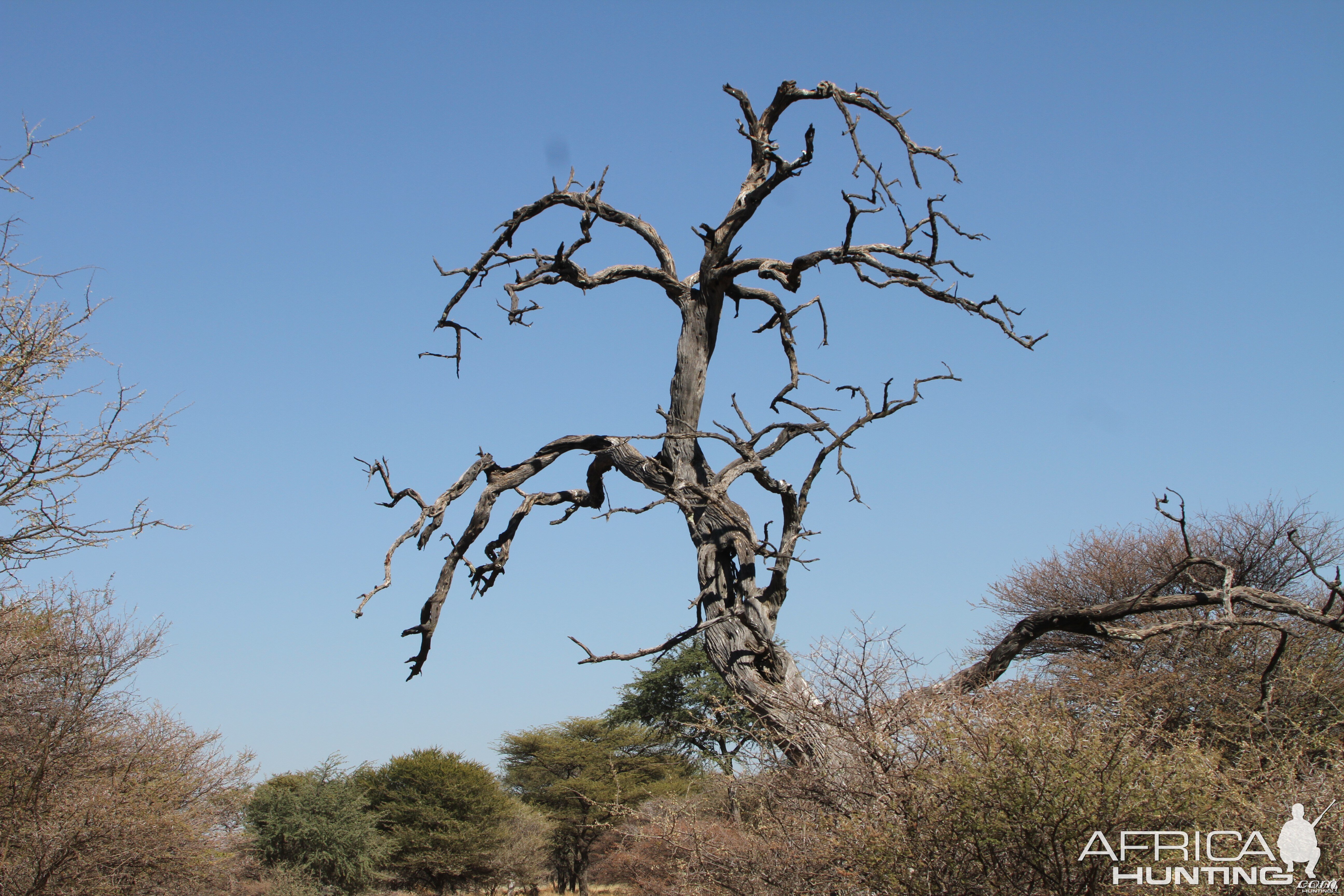 Namibia