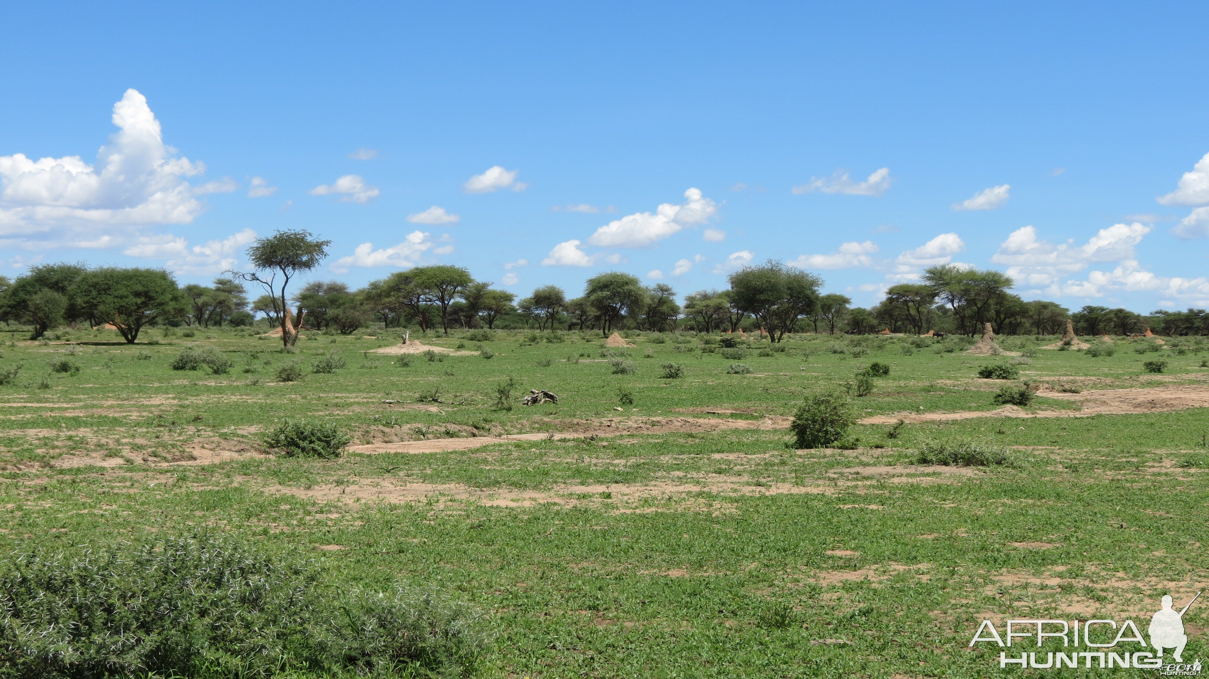 Namibia