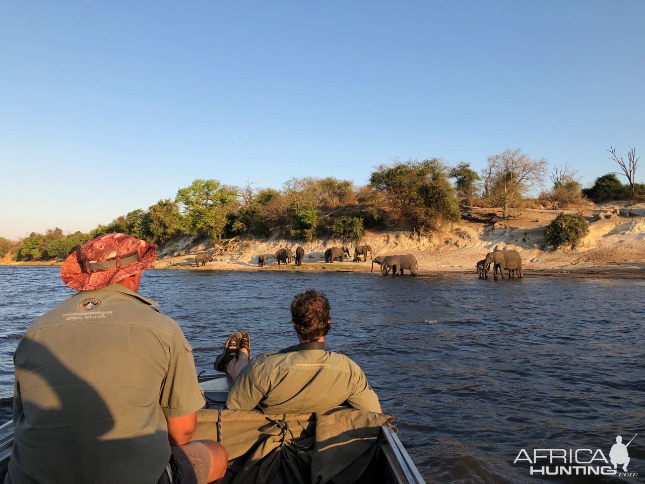 Namibian Elephant Wildlife