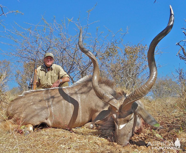 Namibian Greater Kudu
