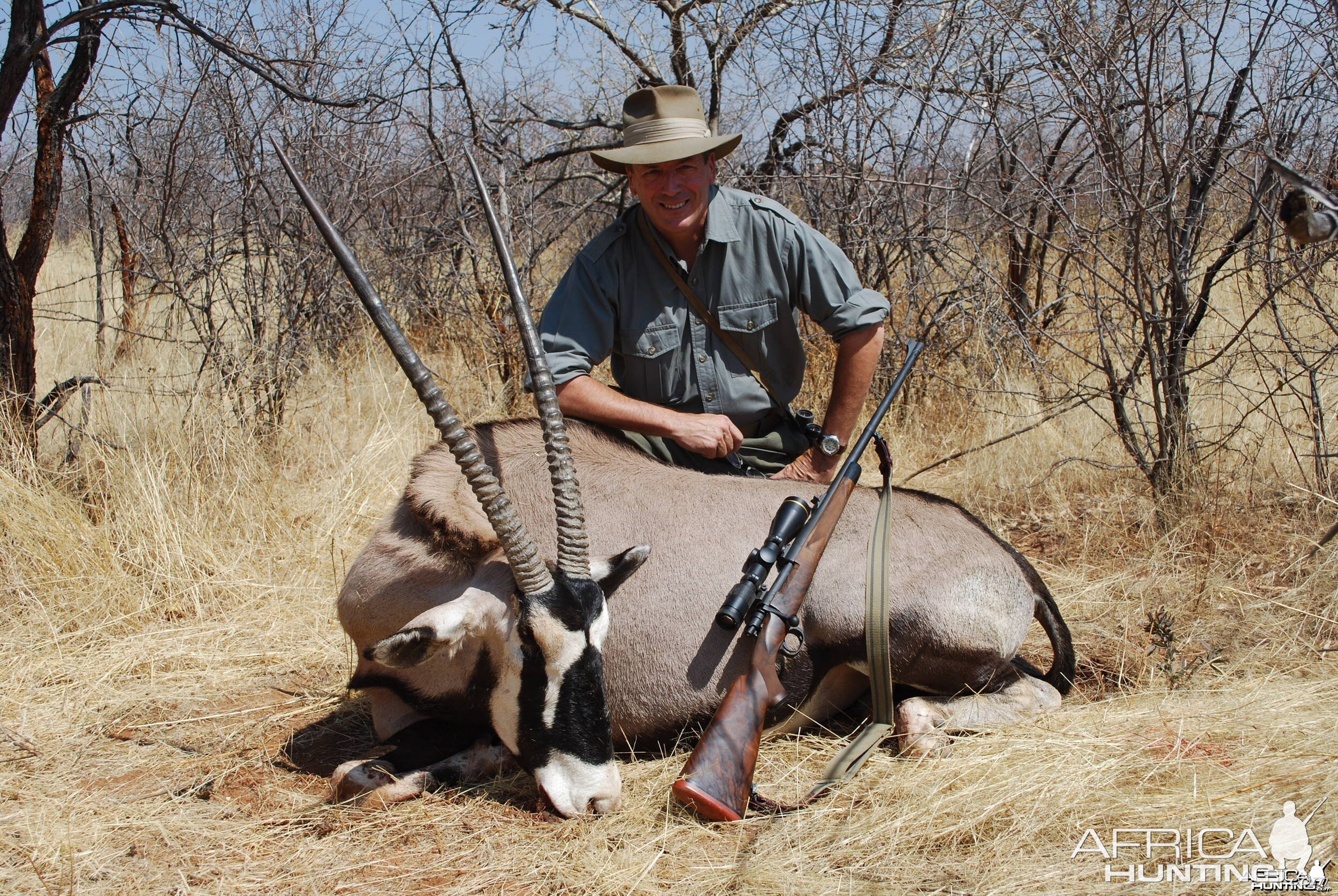 Namibian Oryx Bull