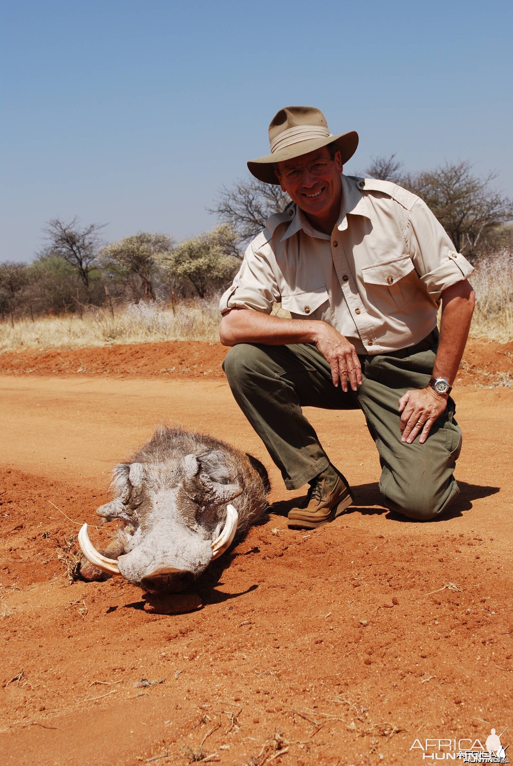 Namibian Warthog