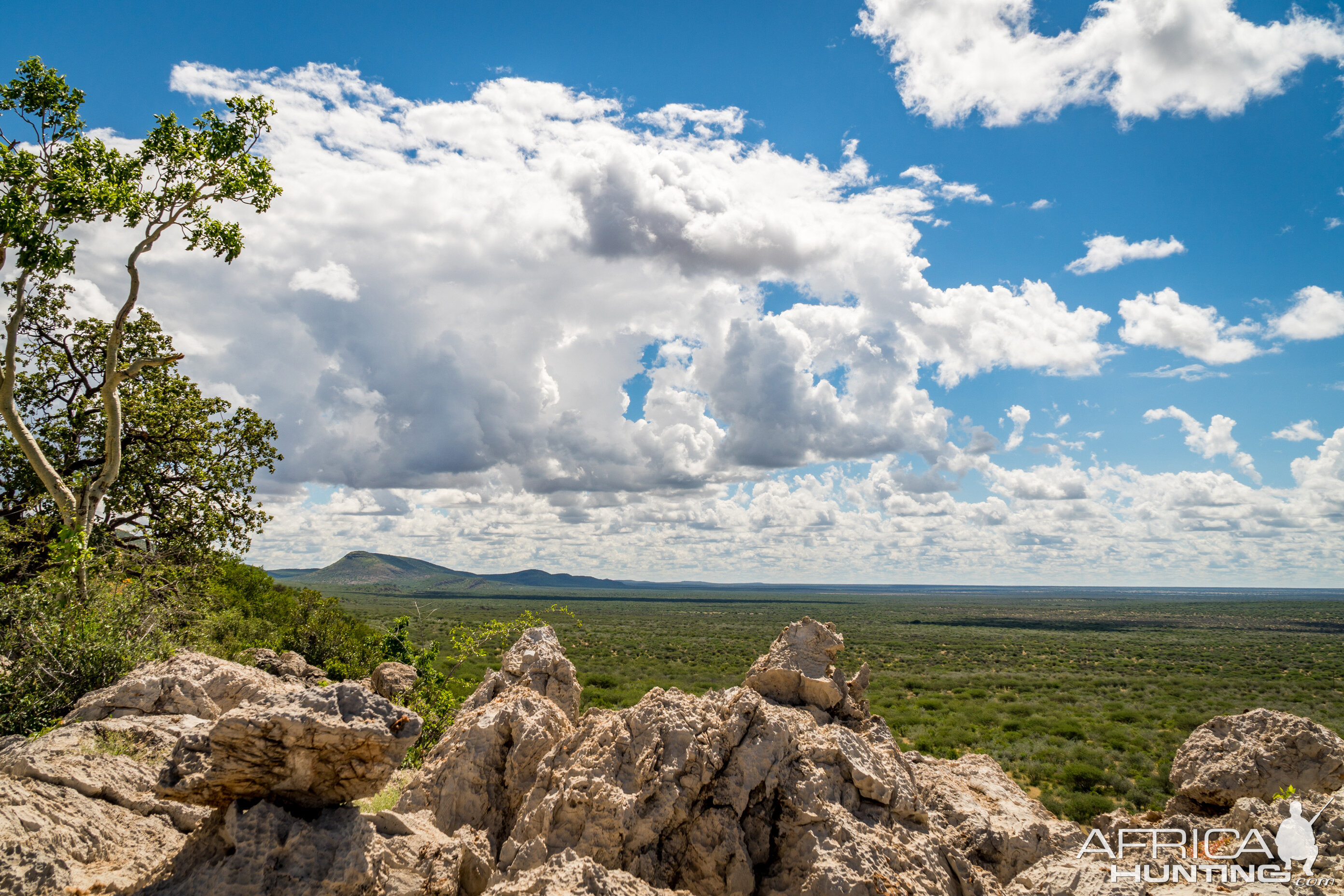 Nature Landscape Namibia