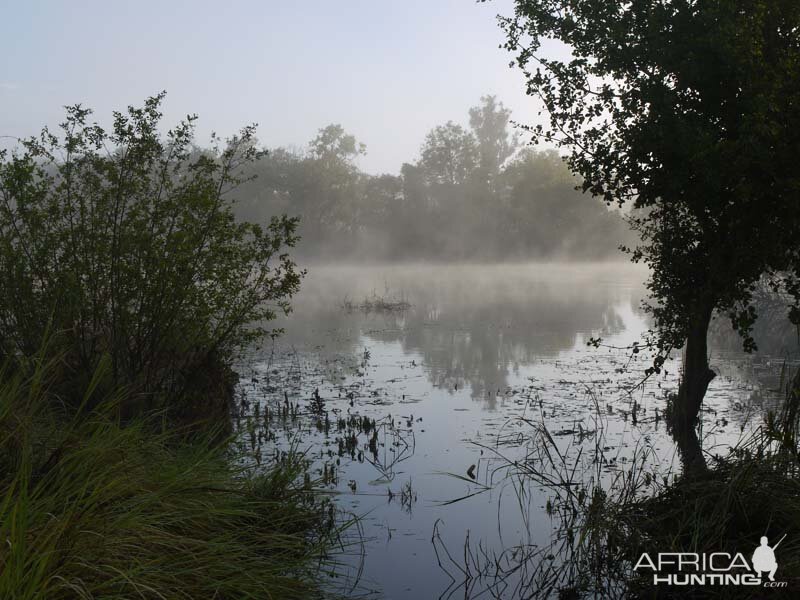 Nature Zambia Lake