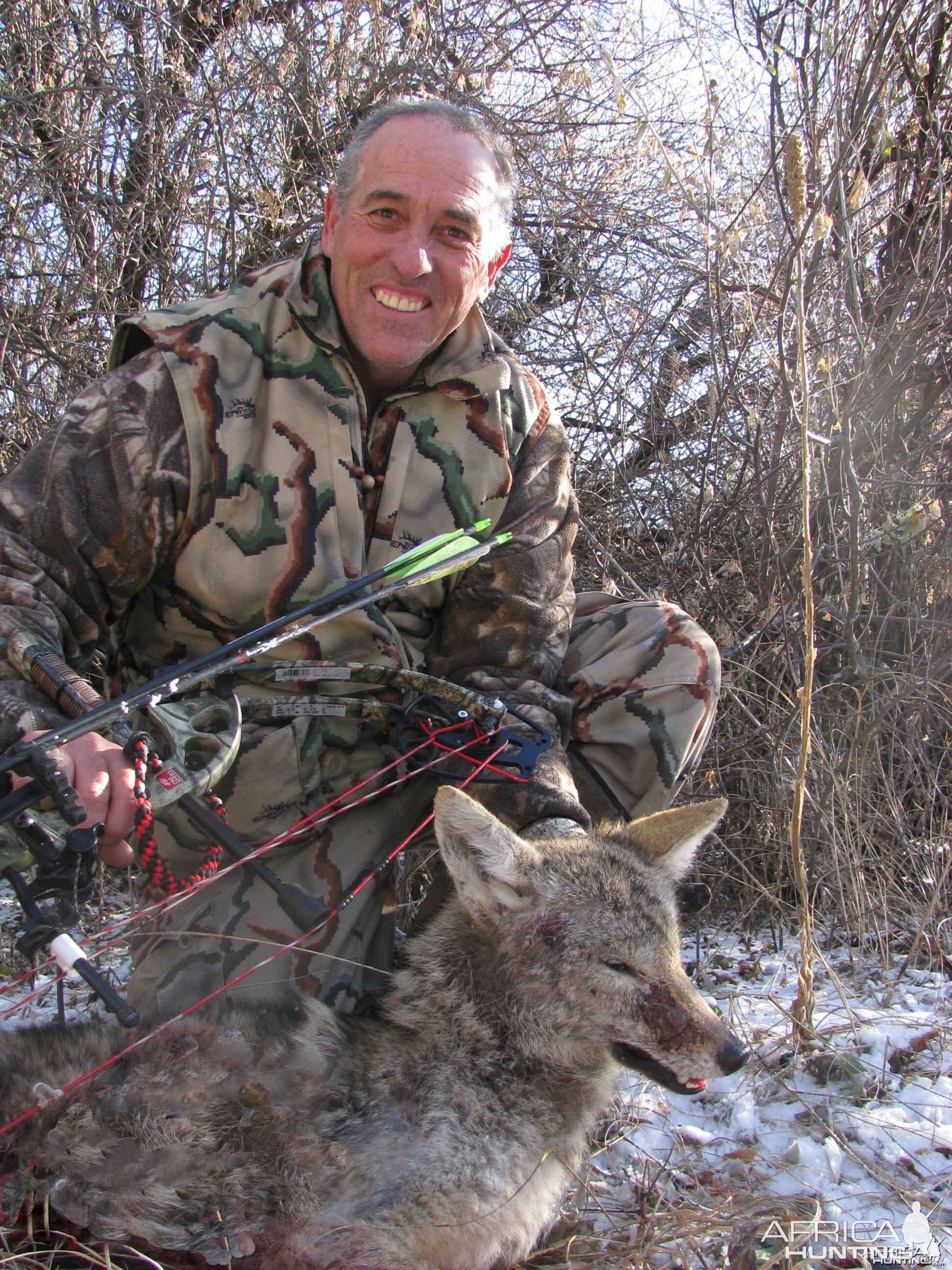 Nebraska Coyote