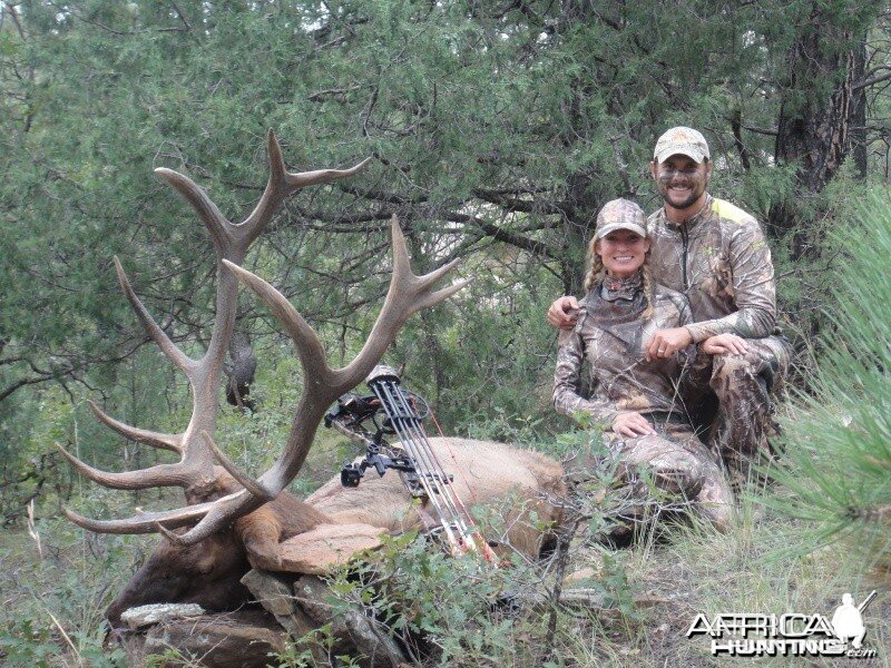 New Mexico Elk Hunting