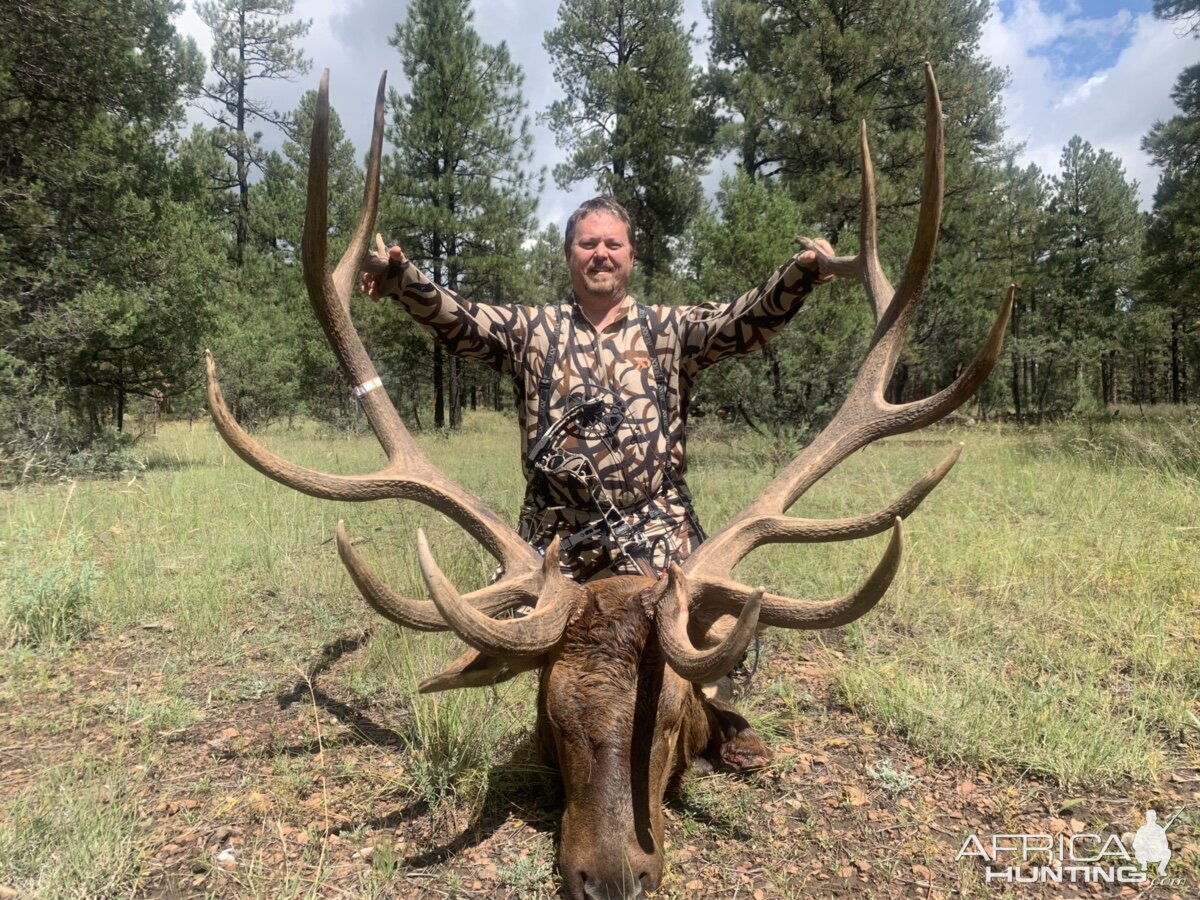 New Mexico USA Bow Hunting Elk