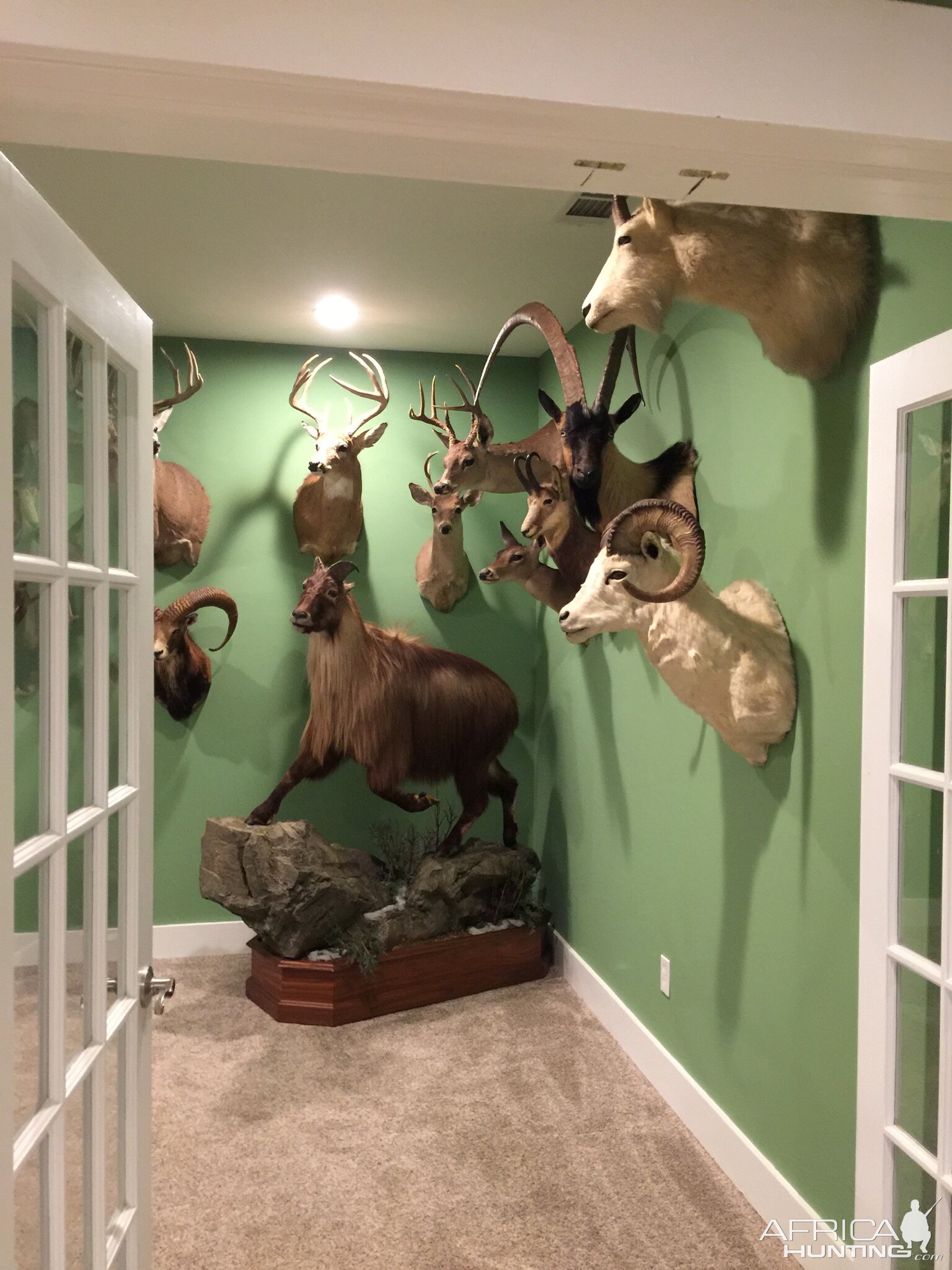 New Trophy Room