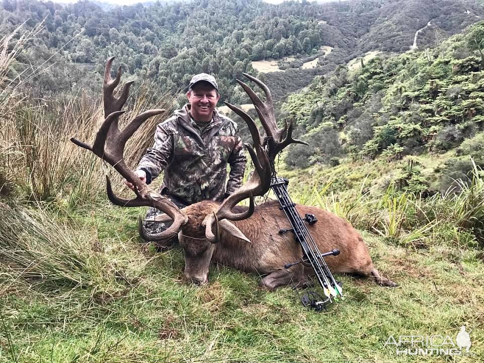 New Zealand Bow Hunt Red Stag