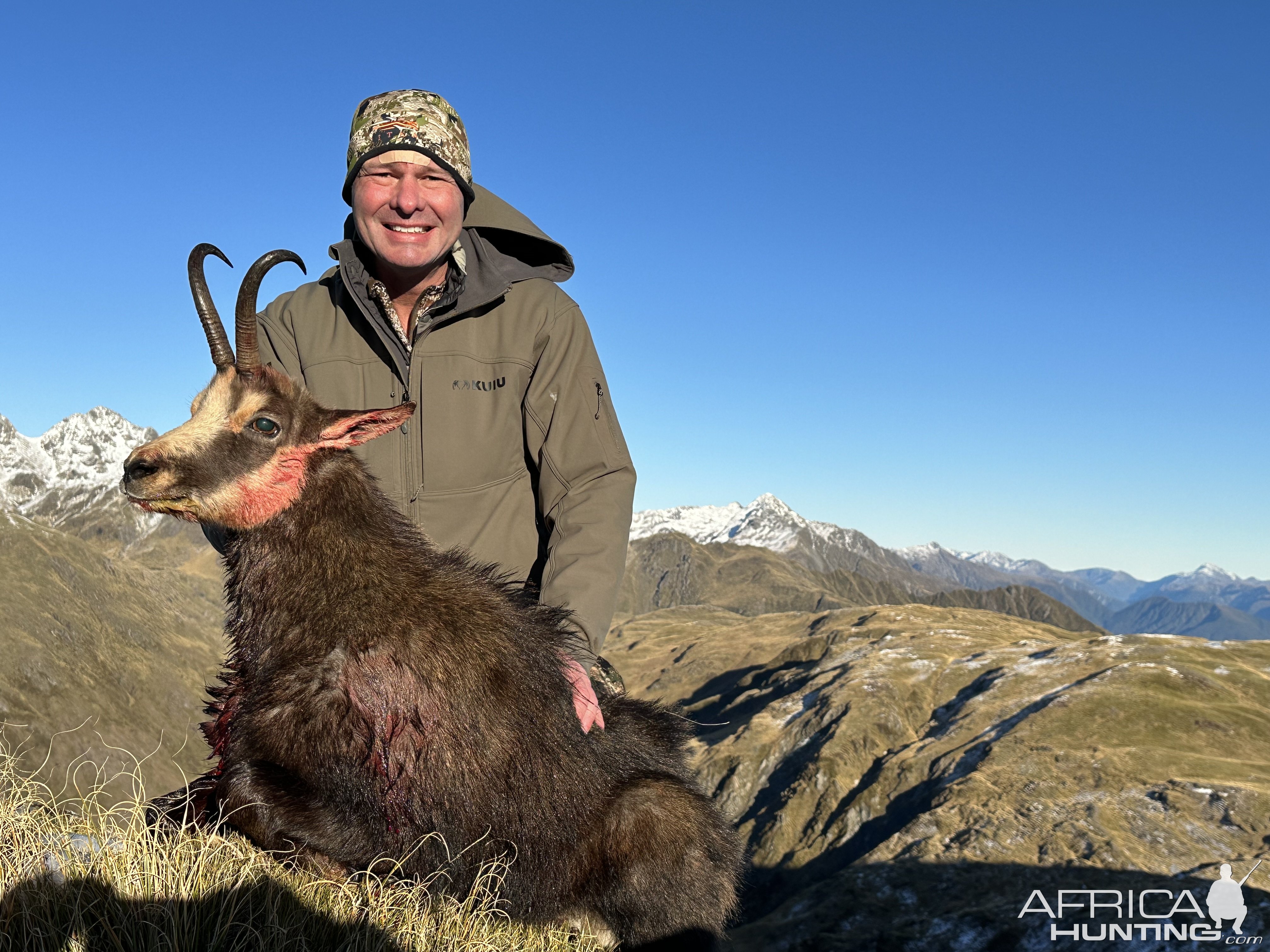 New Zealand Chamois