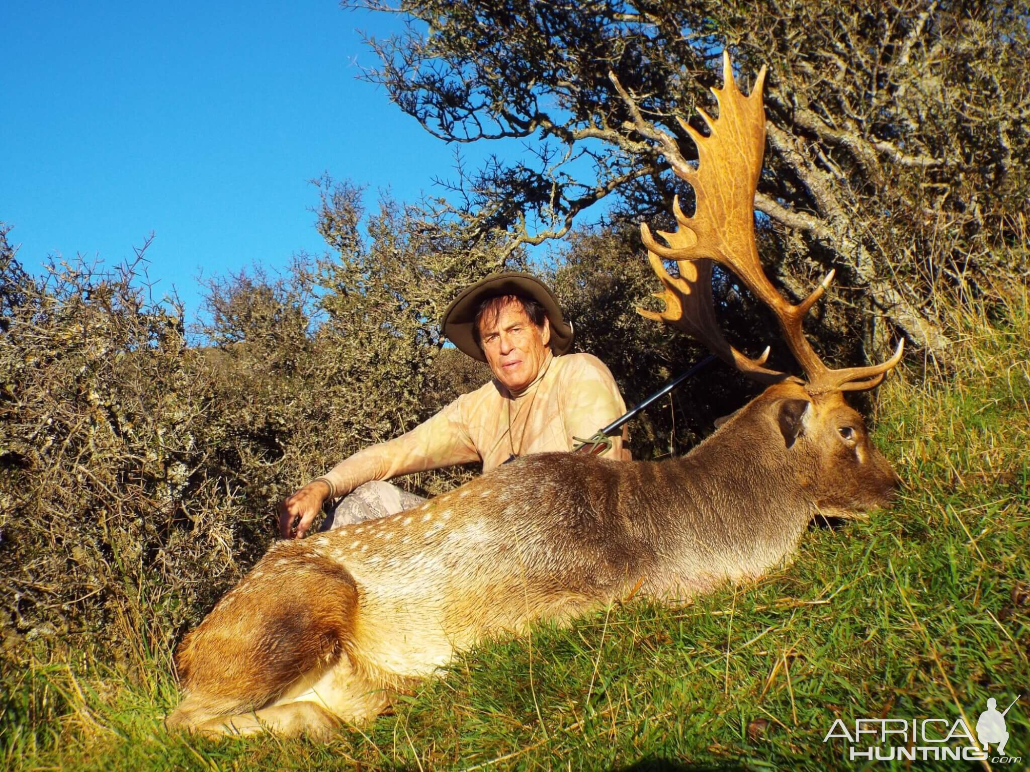 New Zealand Hunt 22 Point Fallow Deer