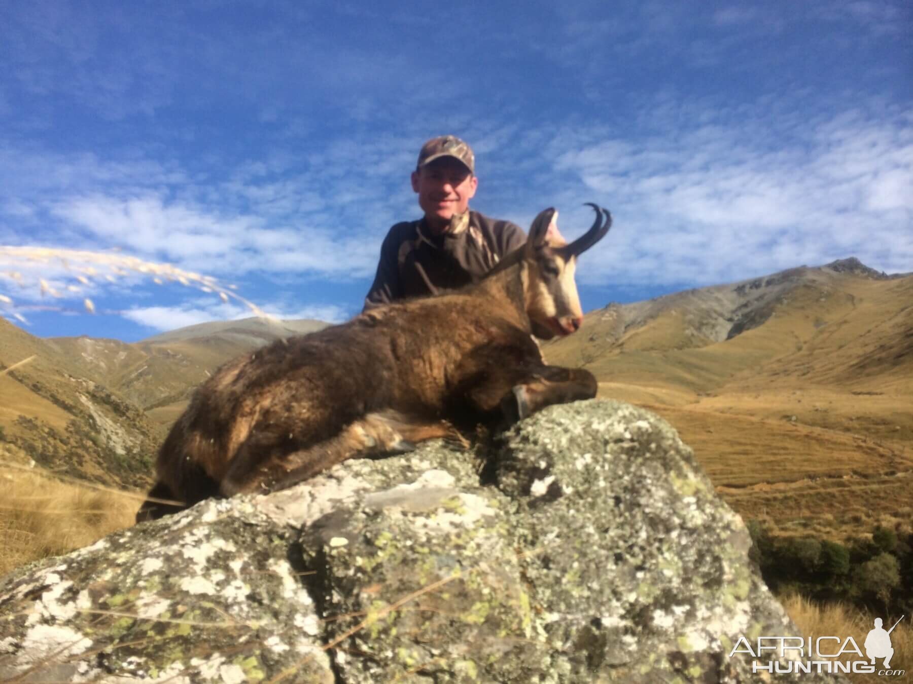 New Zealand Hunt Alpine Chamois