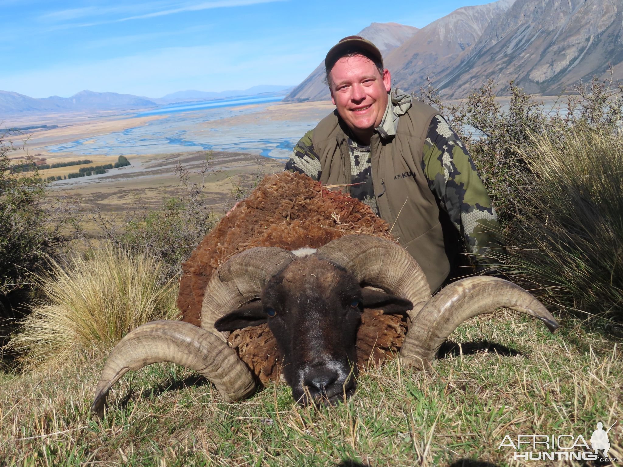 New Zealand Hunt Arapawa Ram