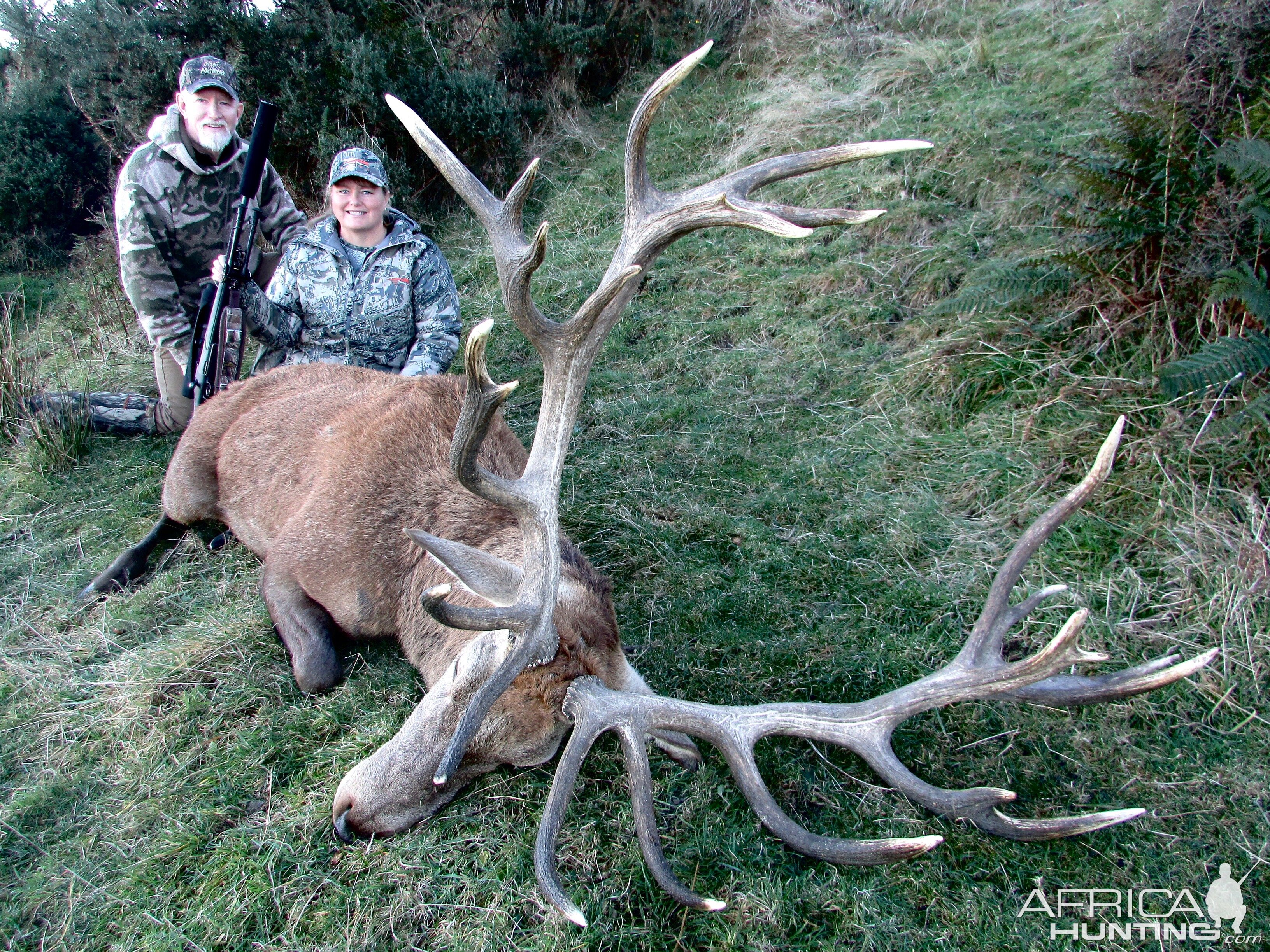 New Zealand Hunt Boar