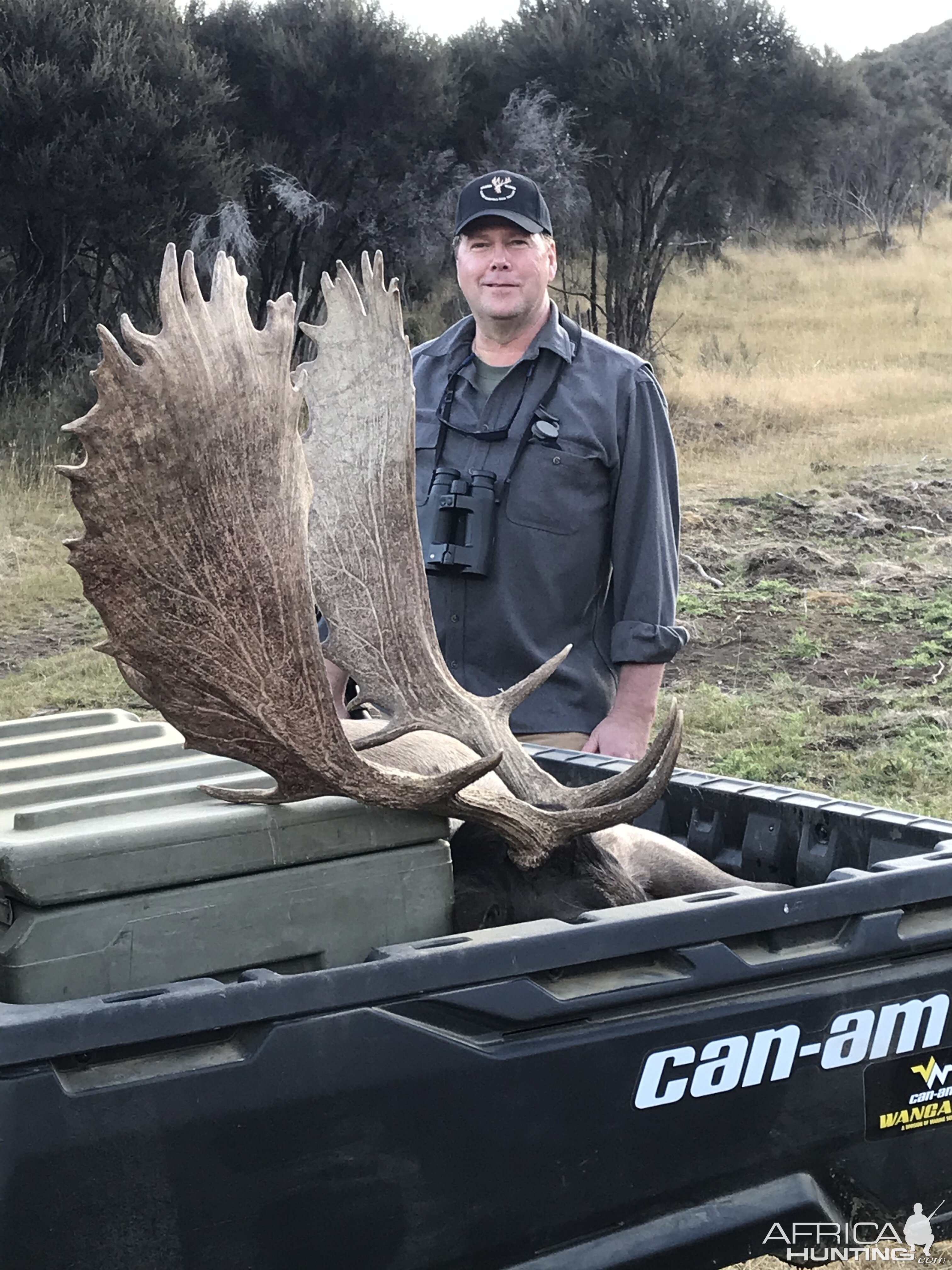 New Zealand Hunt Fallow Deer