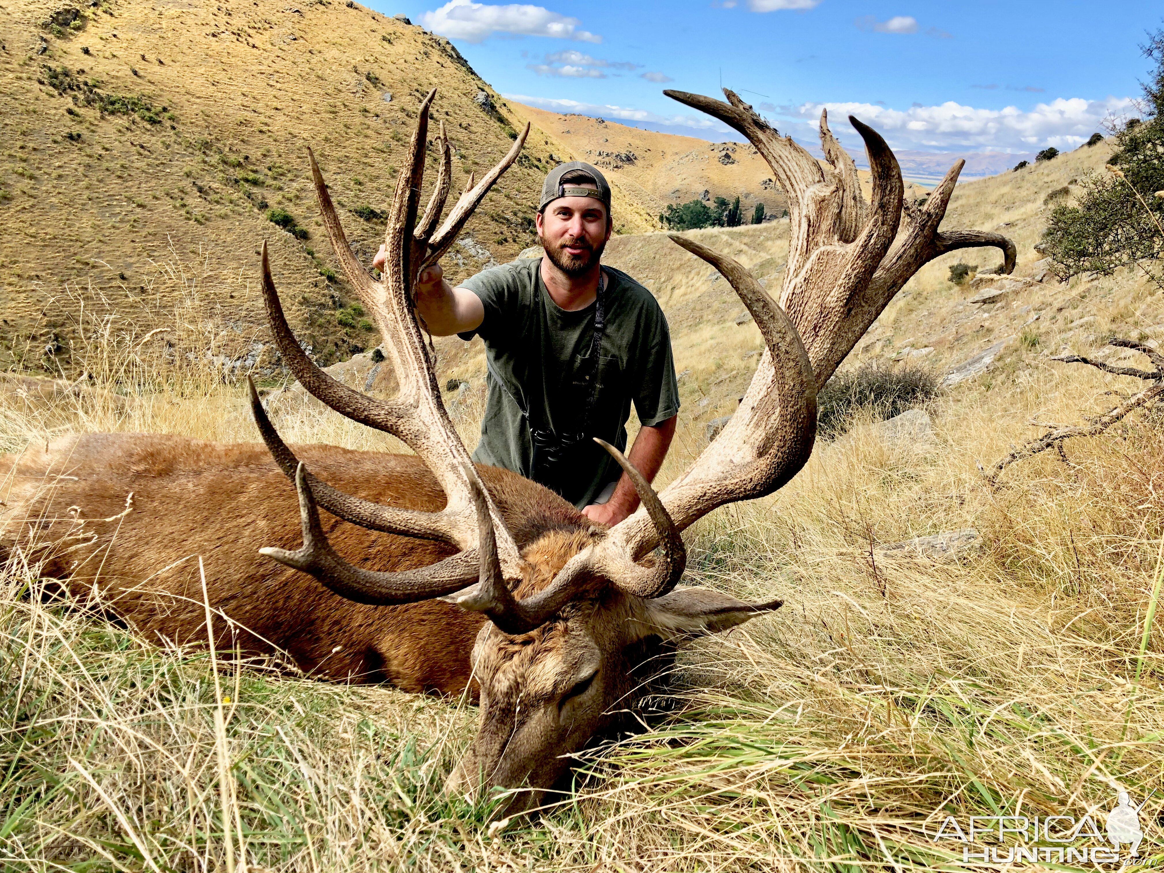 new-zealand-hunt-red-stag-africahunting