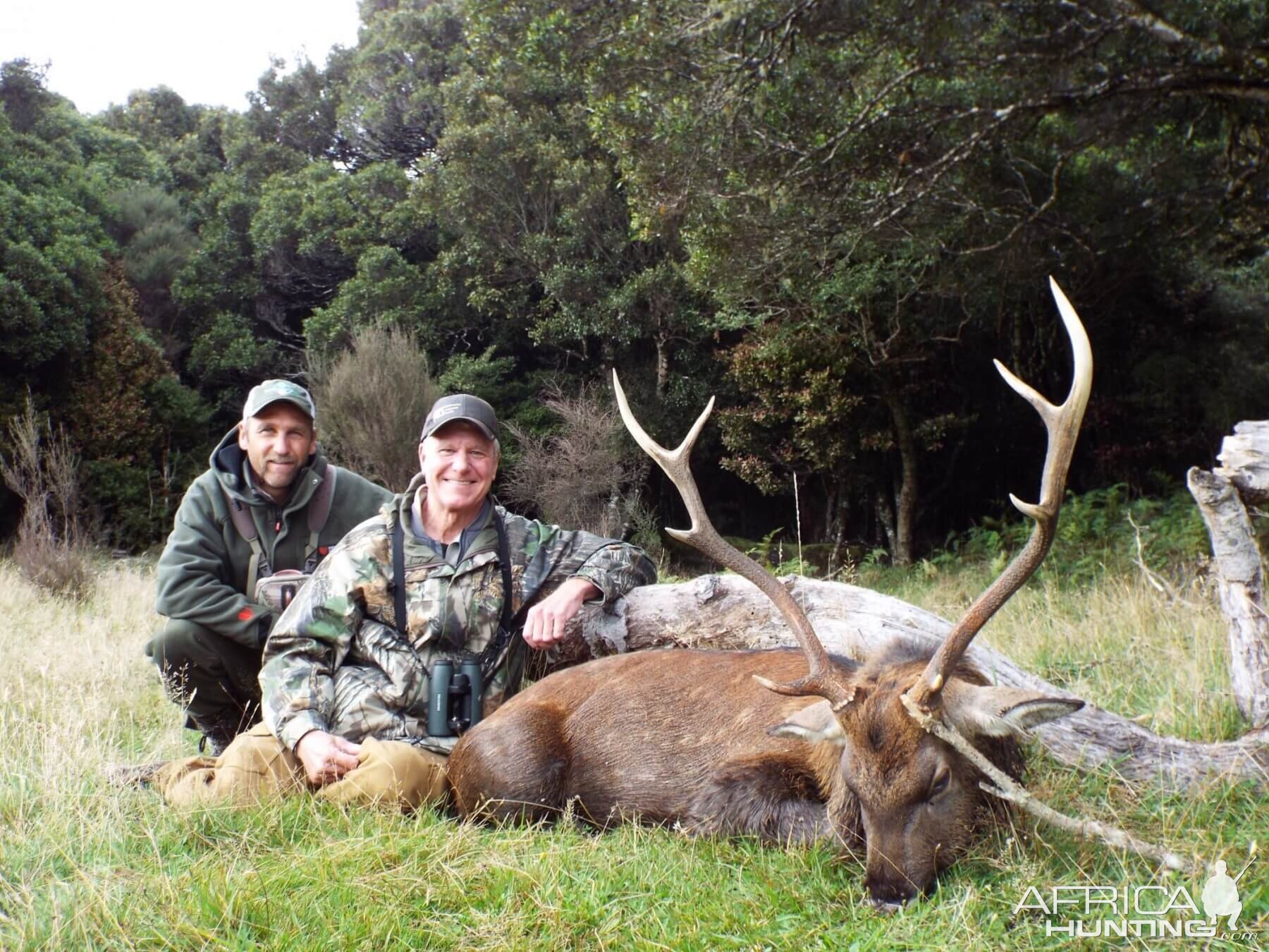 New Zealand Hunt Sika Deer