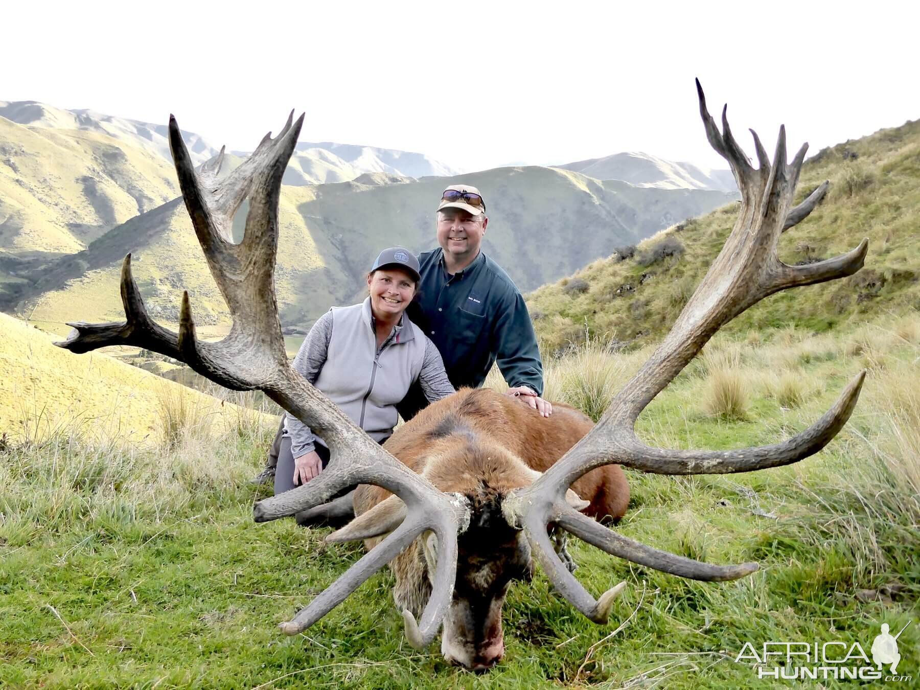 New Zealand Hunting 408" Inch Red Stag