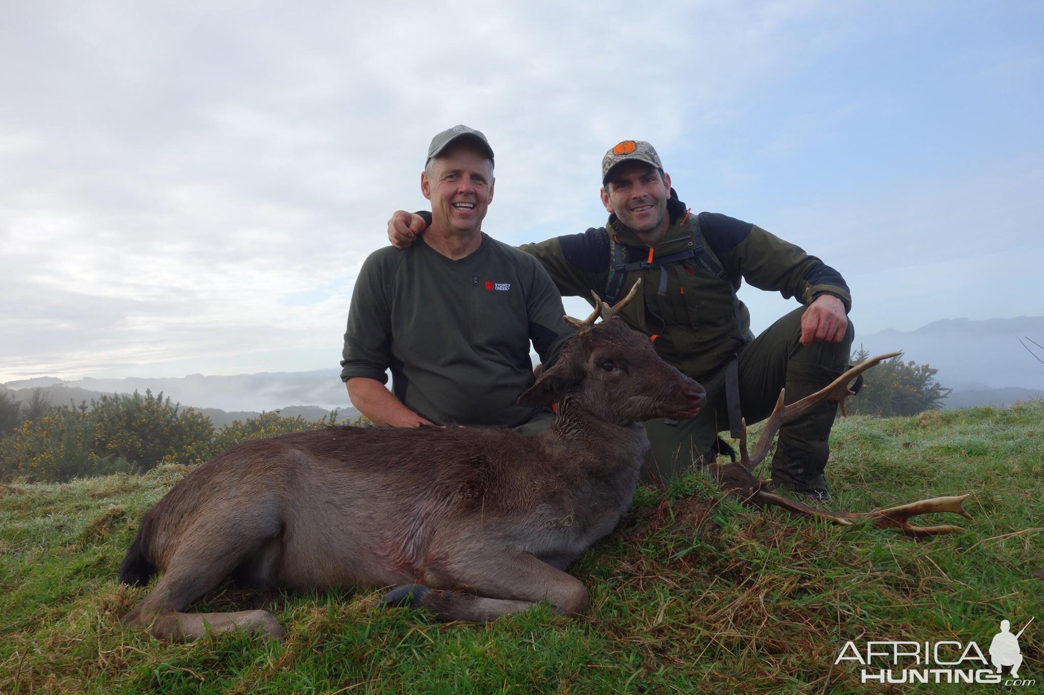 New Zealand Hunting Deer