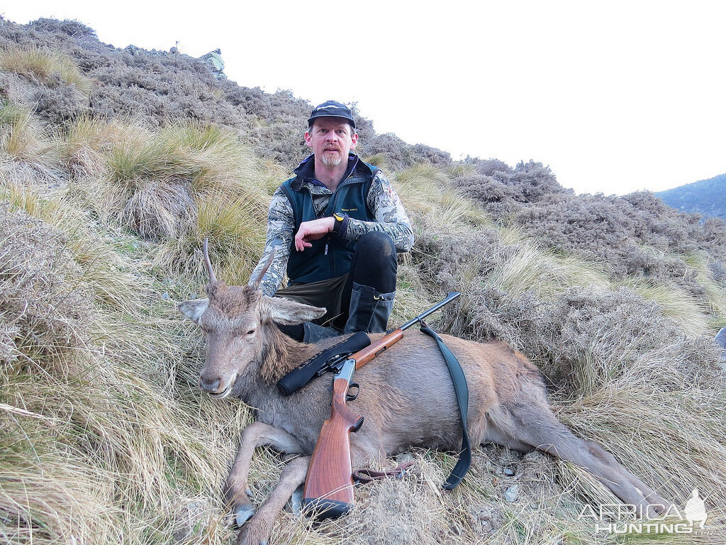 New Zealand Hunting Deer