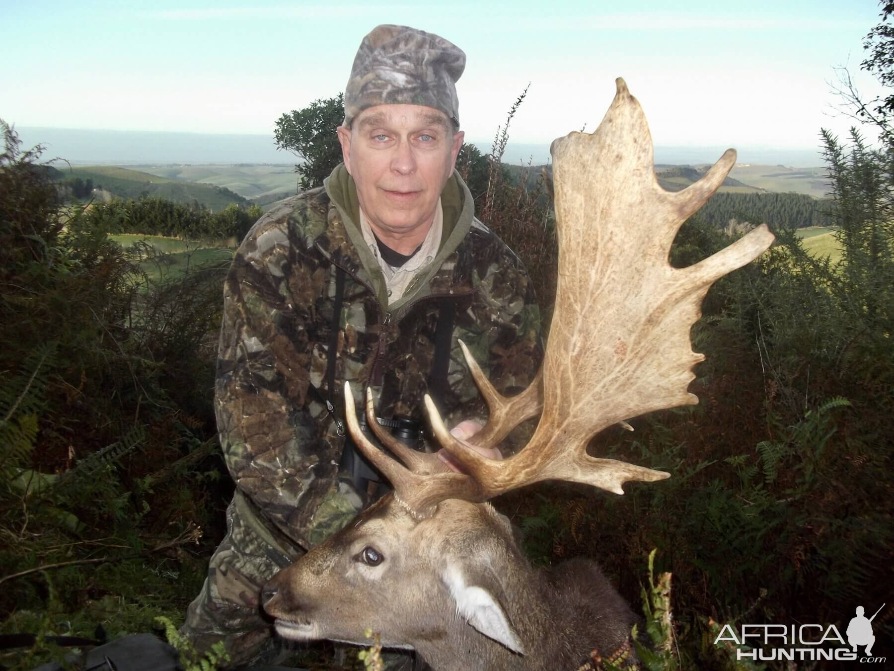 New Zealand Hunting Fallow Deer