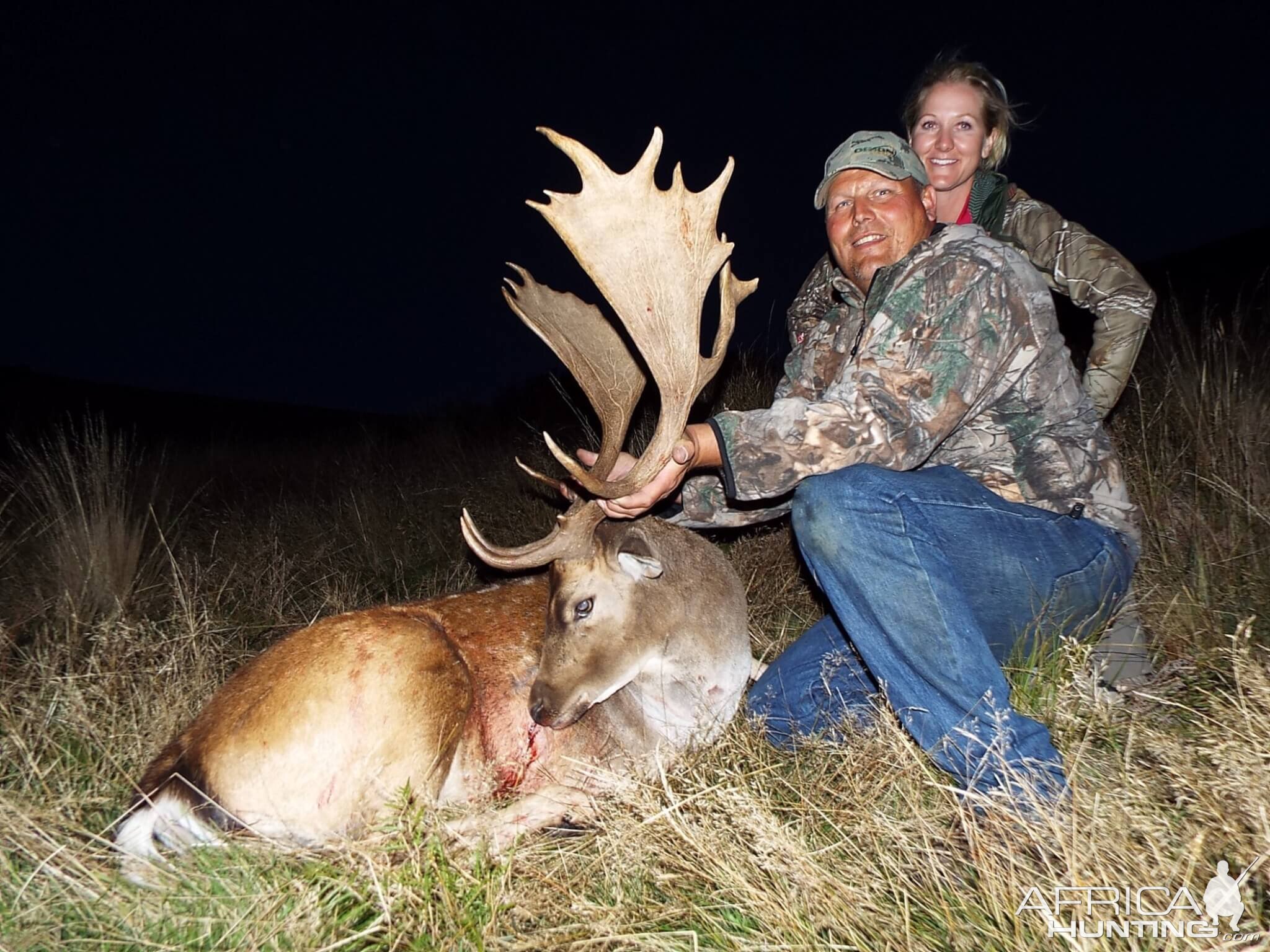 New Zealand Hunting Fallow Deer