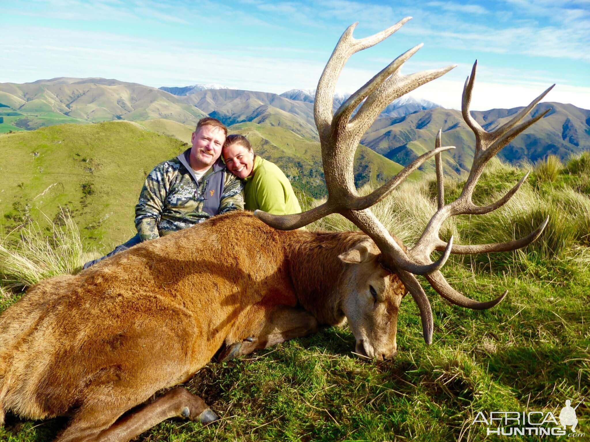 New Zealand Hunting Red Stag