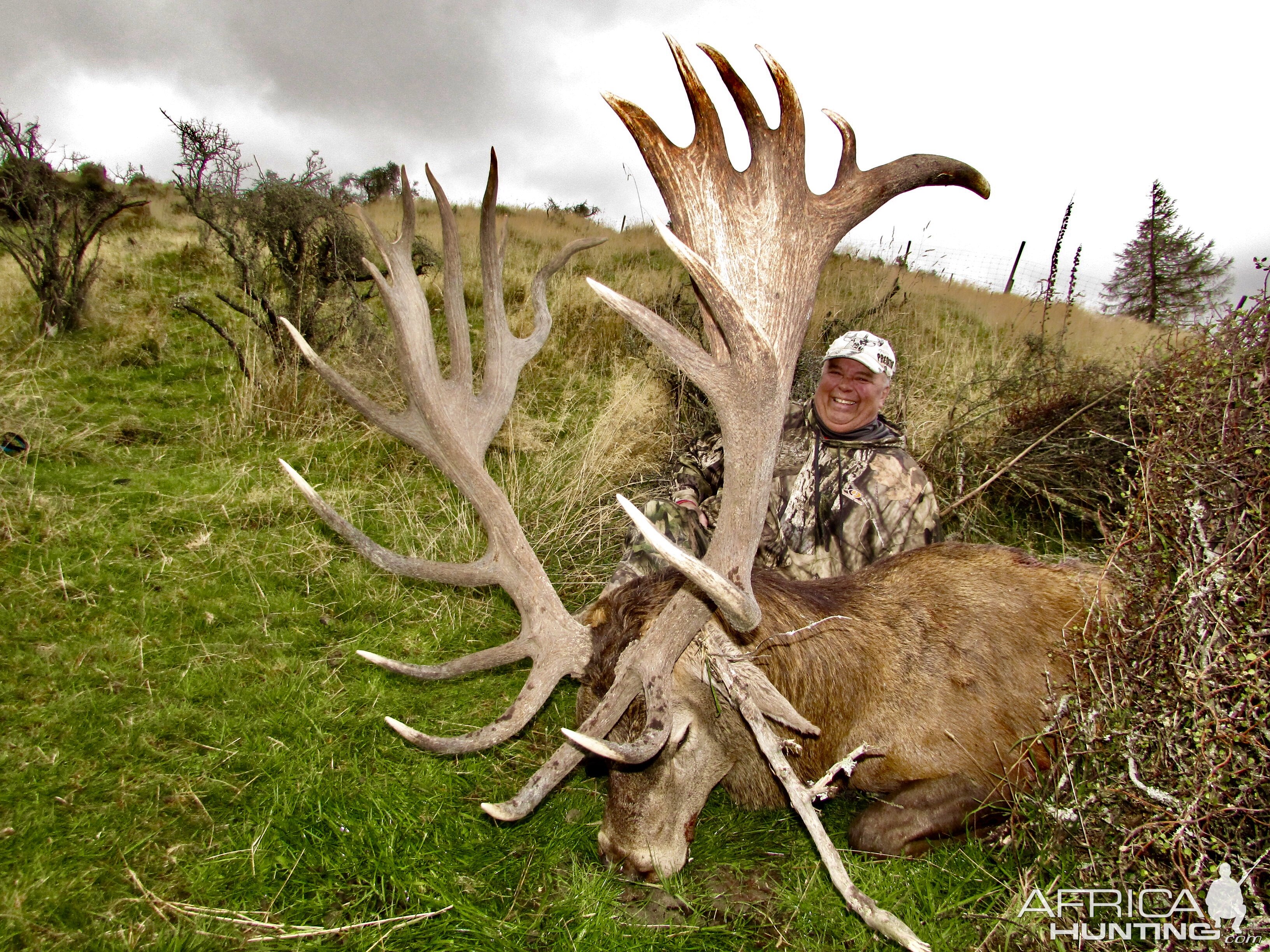 New Zealand Hunting Red Stag | AfricaHunting.com