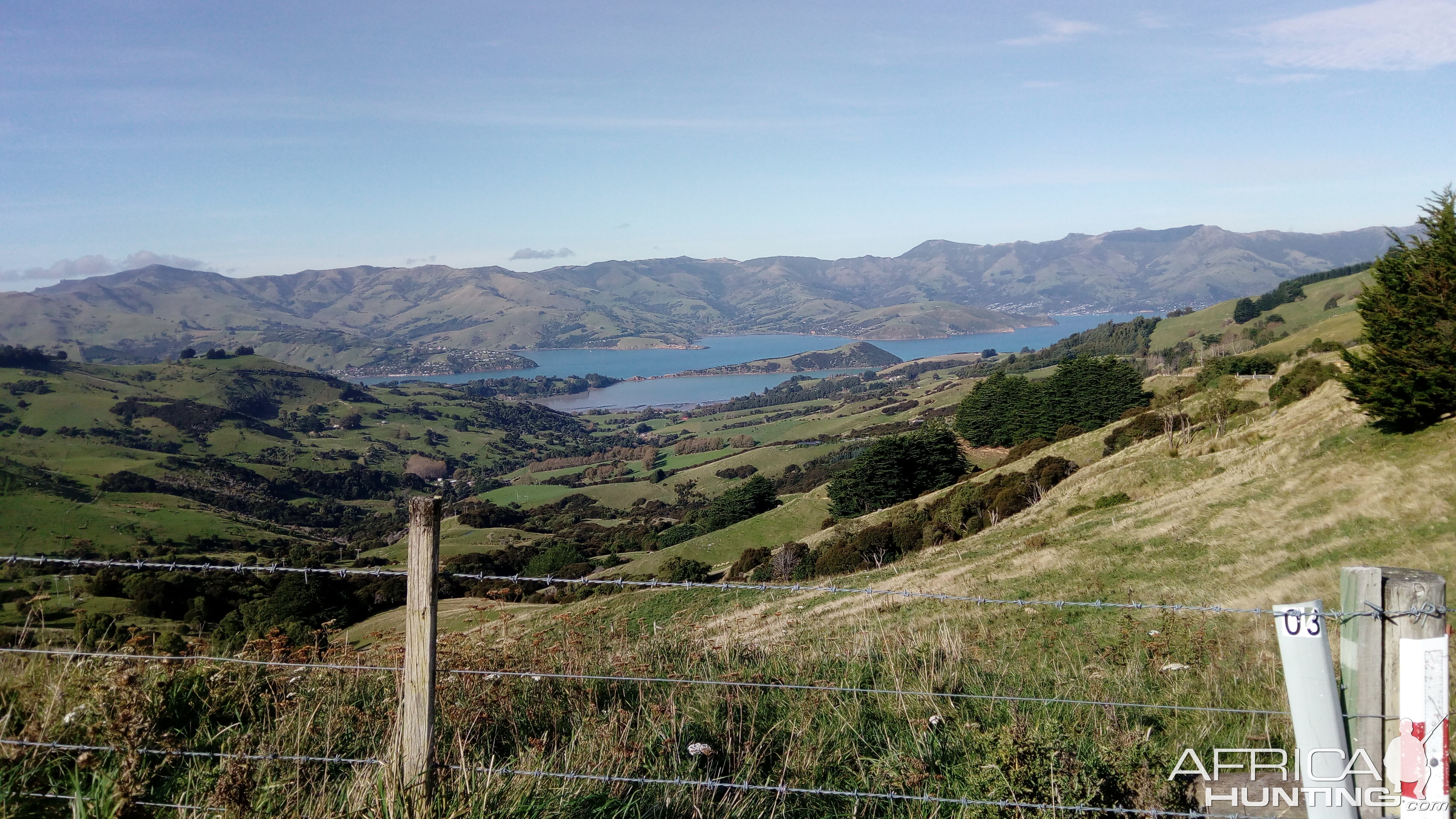 New Zealand Road Trip