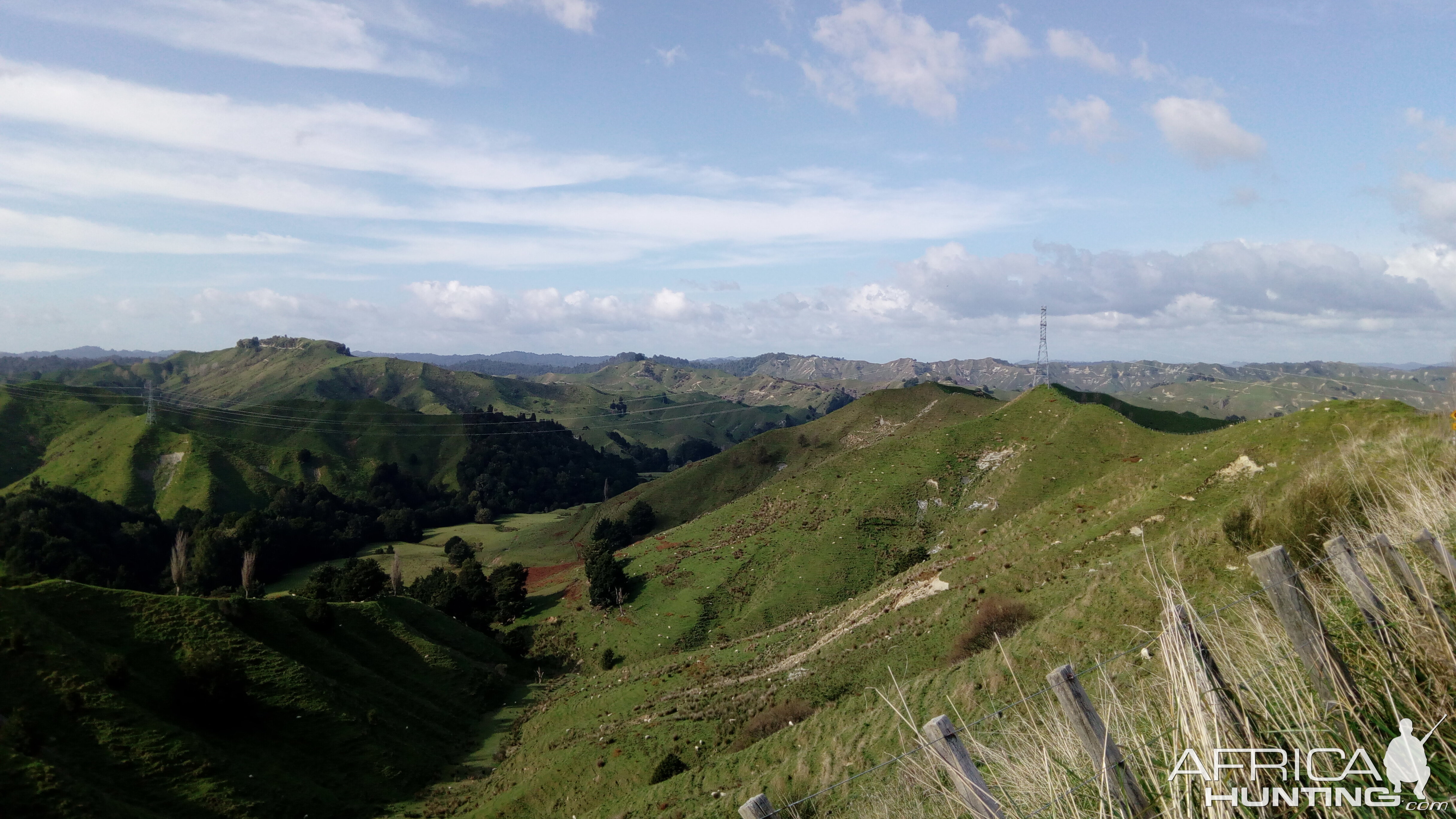 New Zealand Road Trip