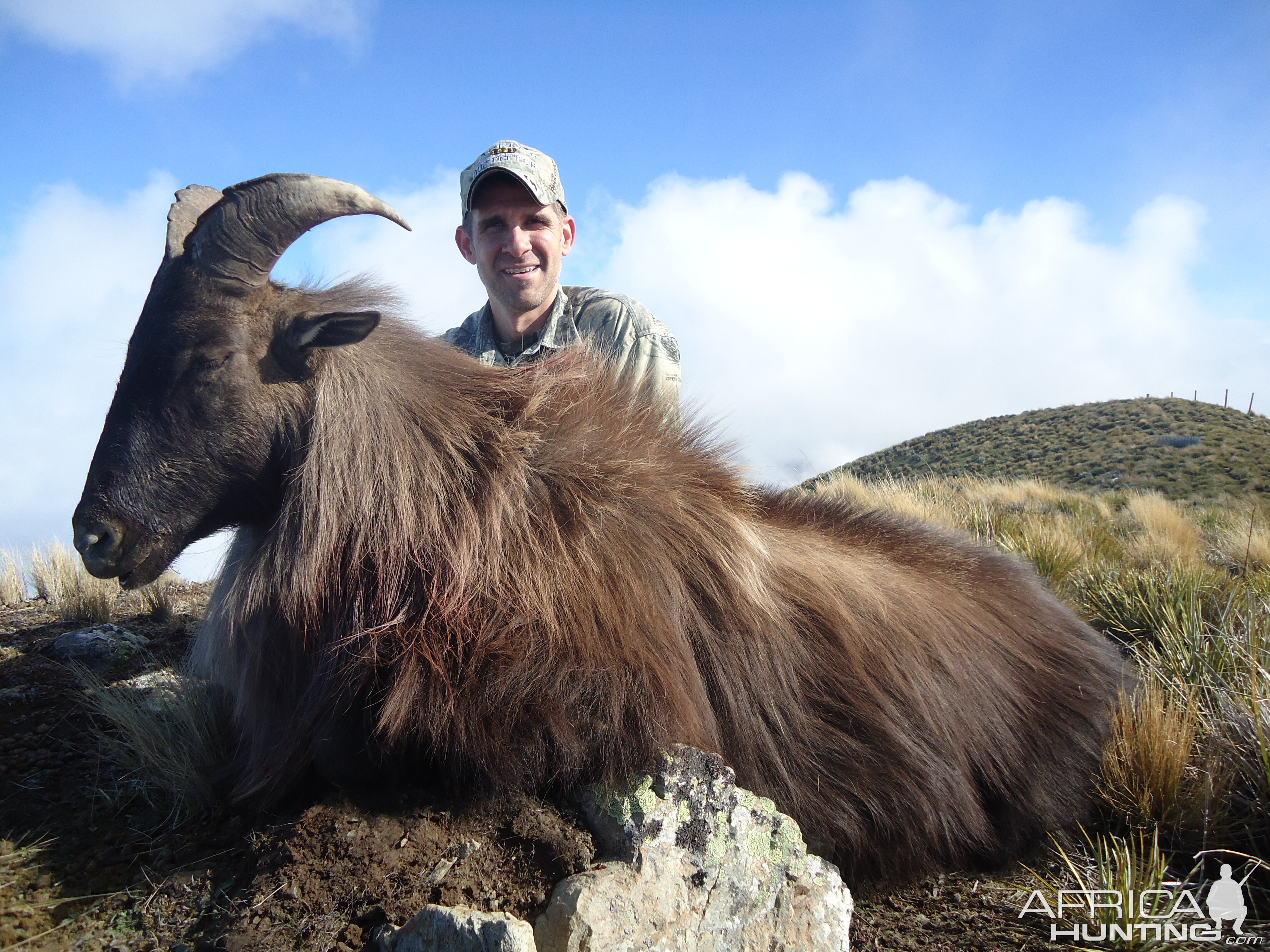 New Zealand Tahr Hunt