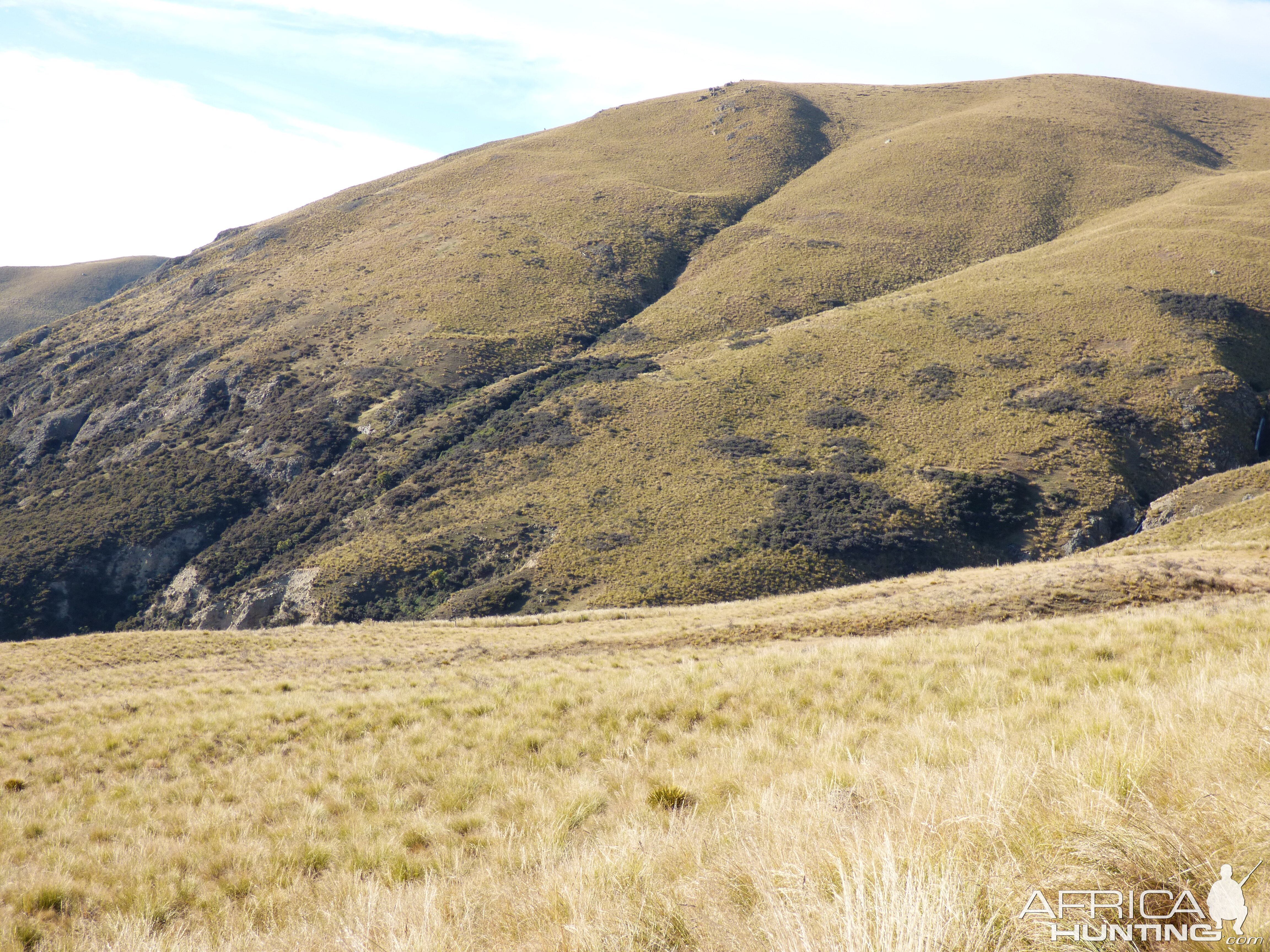 New Zealand