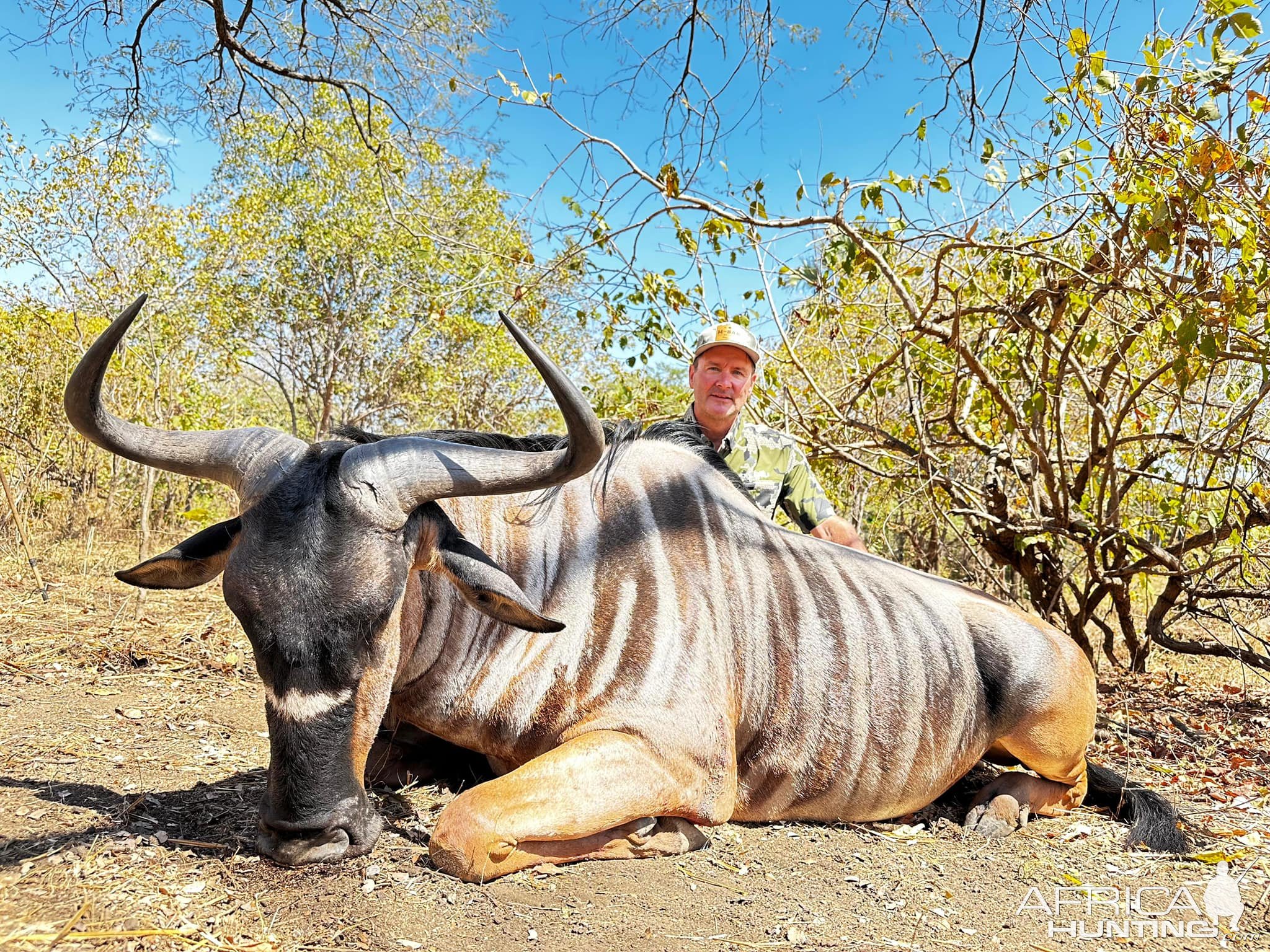 Niassa Wildebeest Hunt Mozambique