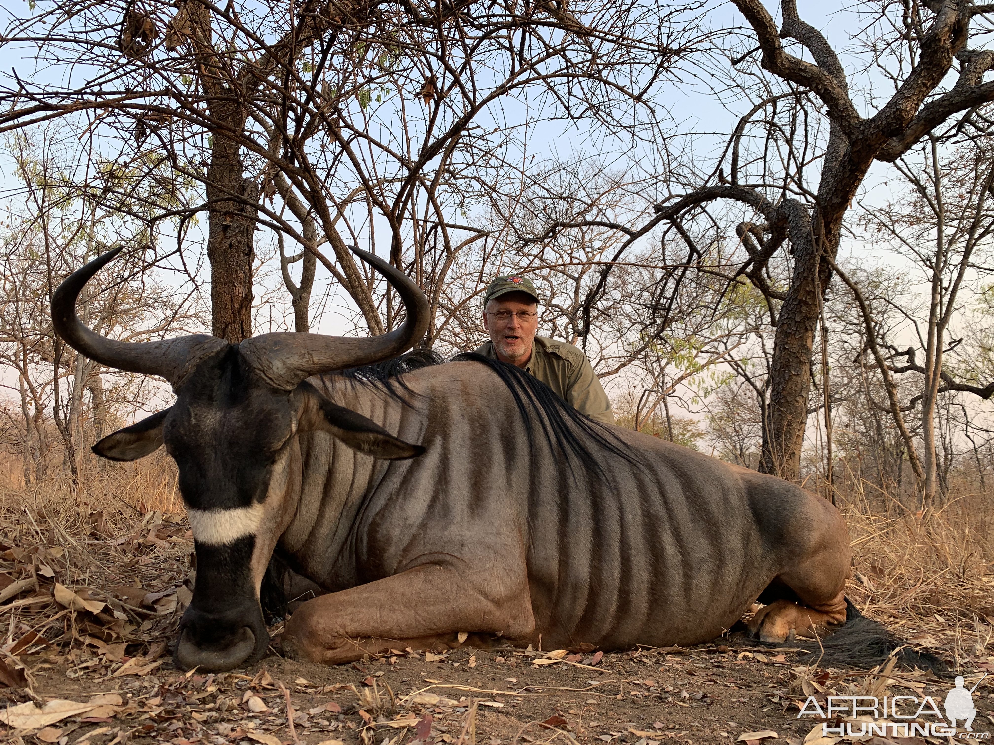 Niassa wildebeest hunting Kwalata safaris, Mozambique 2021