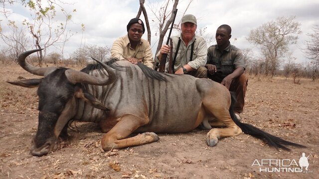 Niassa Wildebeest Tanzania Hunting