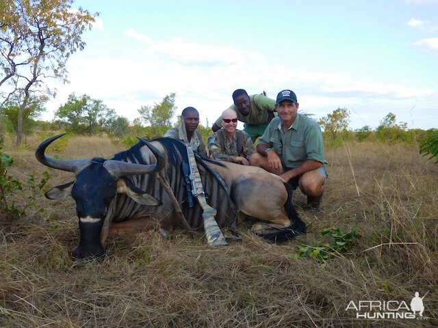 Niassa Wildebeest Tanzania Hunting