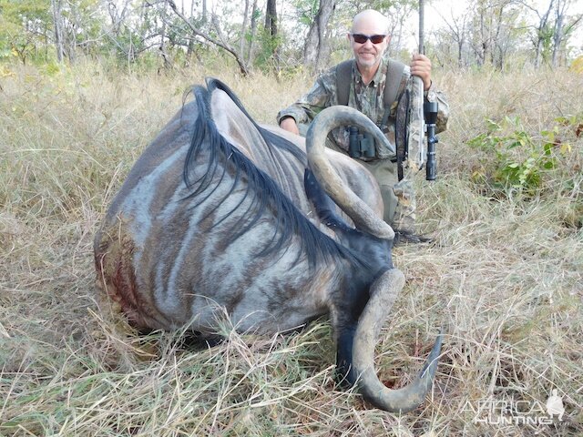 Niassa Wildebeest Tanzania Hunting