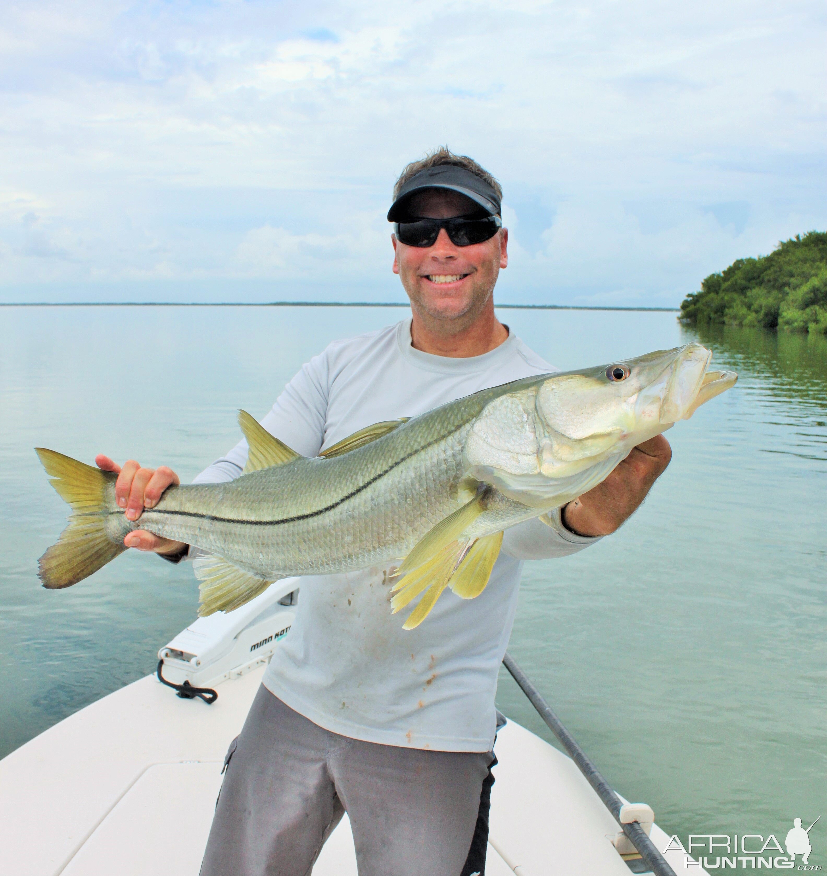 Nice Flamingo snook