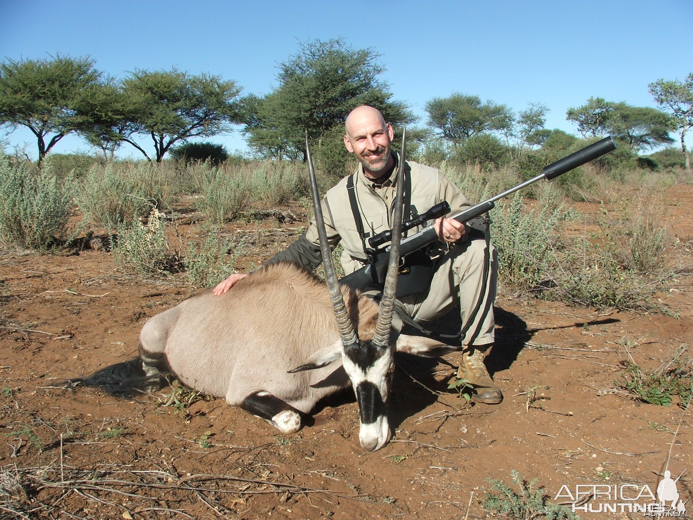 Nice Gemsbuck non-trophy